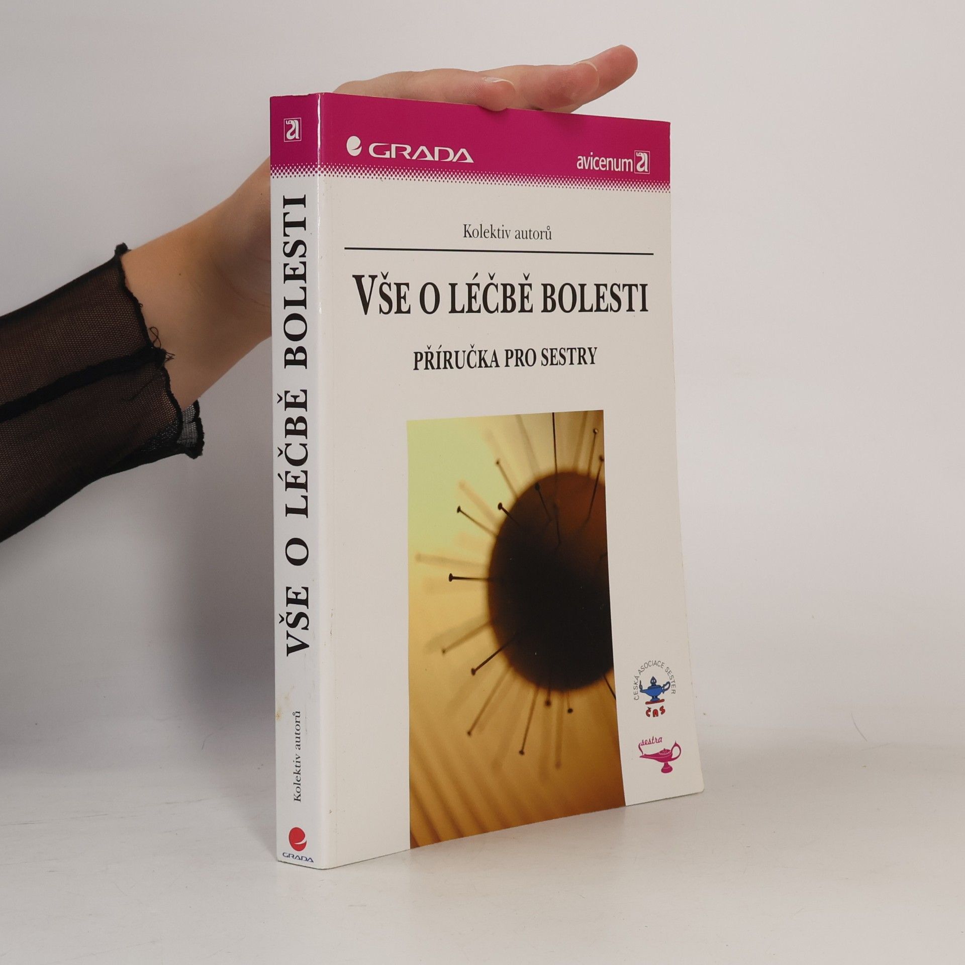 Autorenkollektiv Vše o léčbě bolesti: Příručka pro sestry