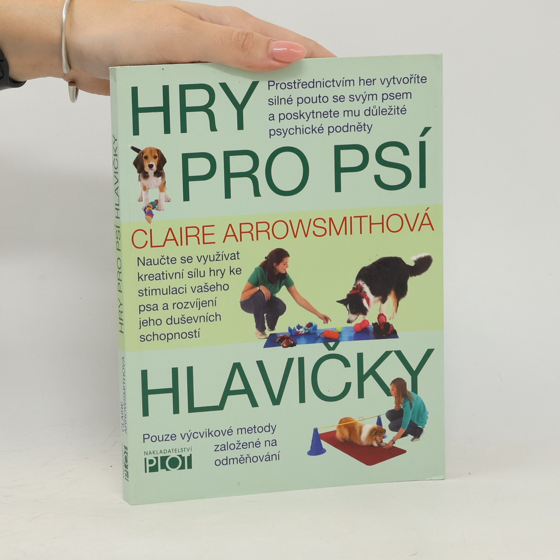 Hry pro psí hlavičky