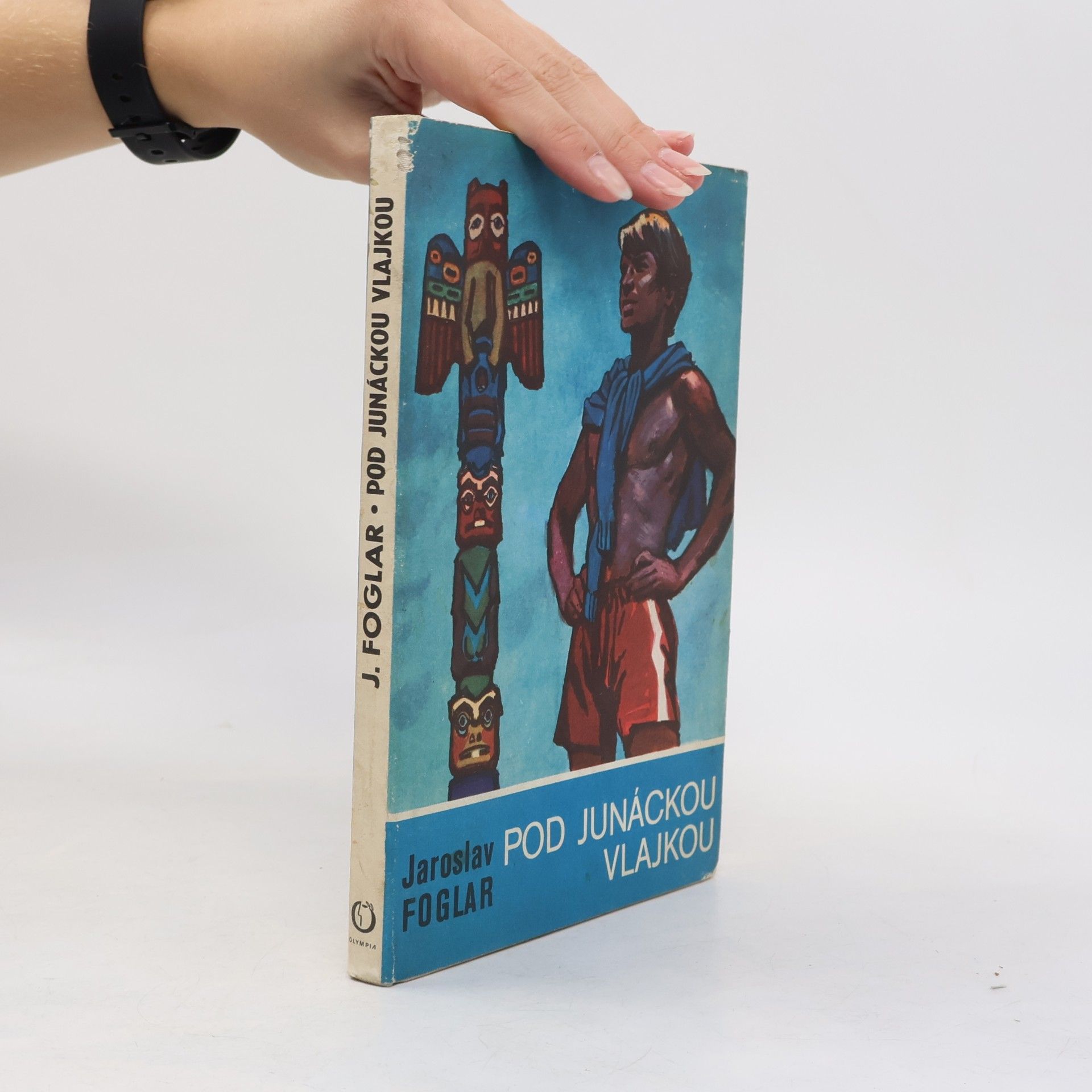 Pod junáckou vlajkou