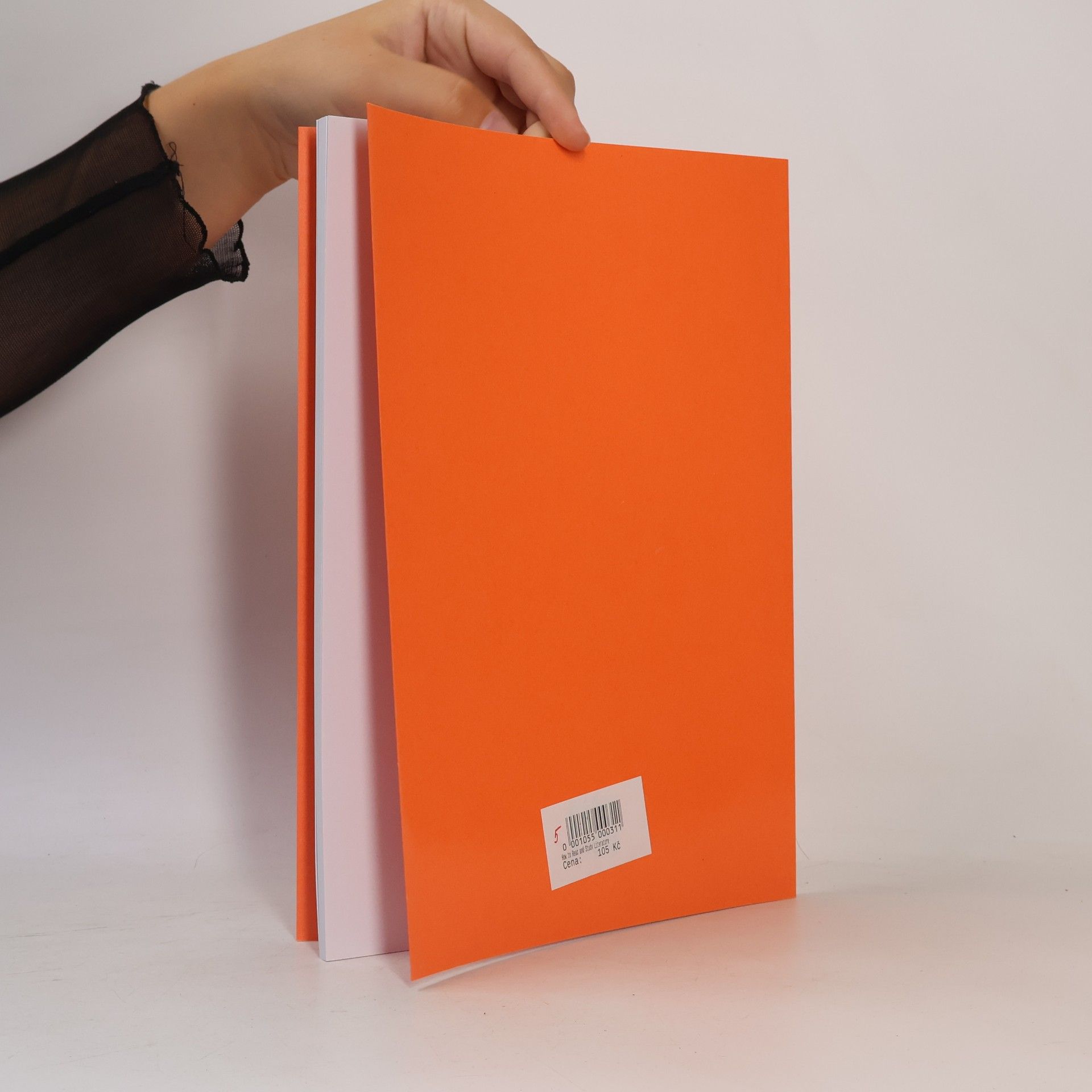 Milena Vodičková How to Read and Study Literature