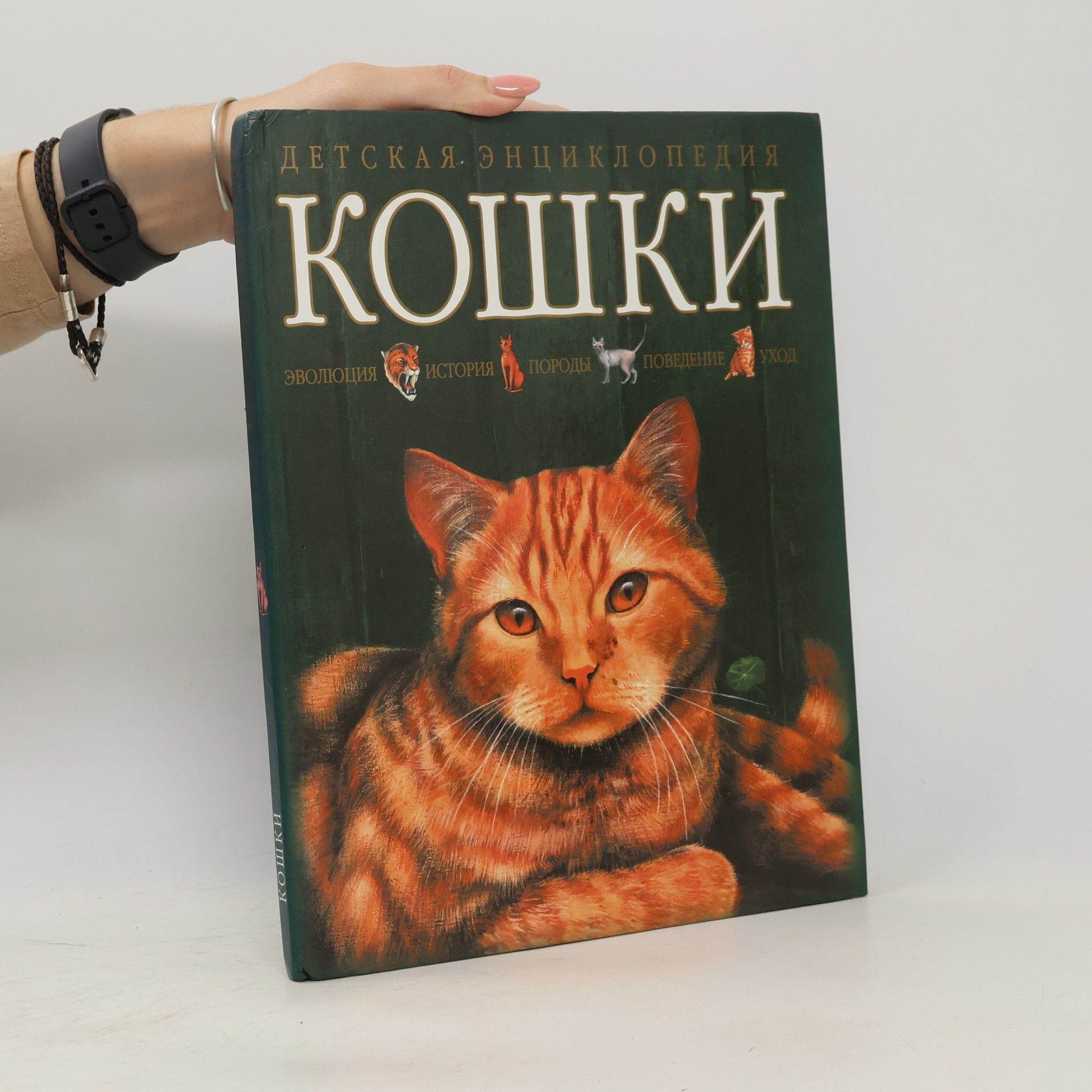 Кошки: Эволюция. История. Породы. Поведение. Уход