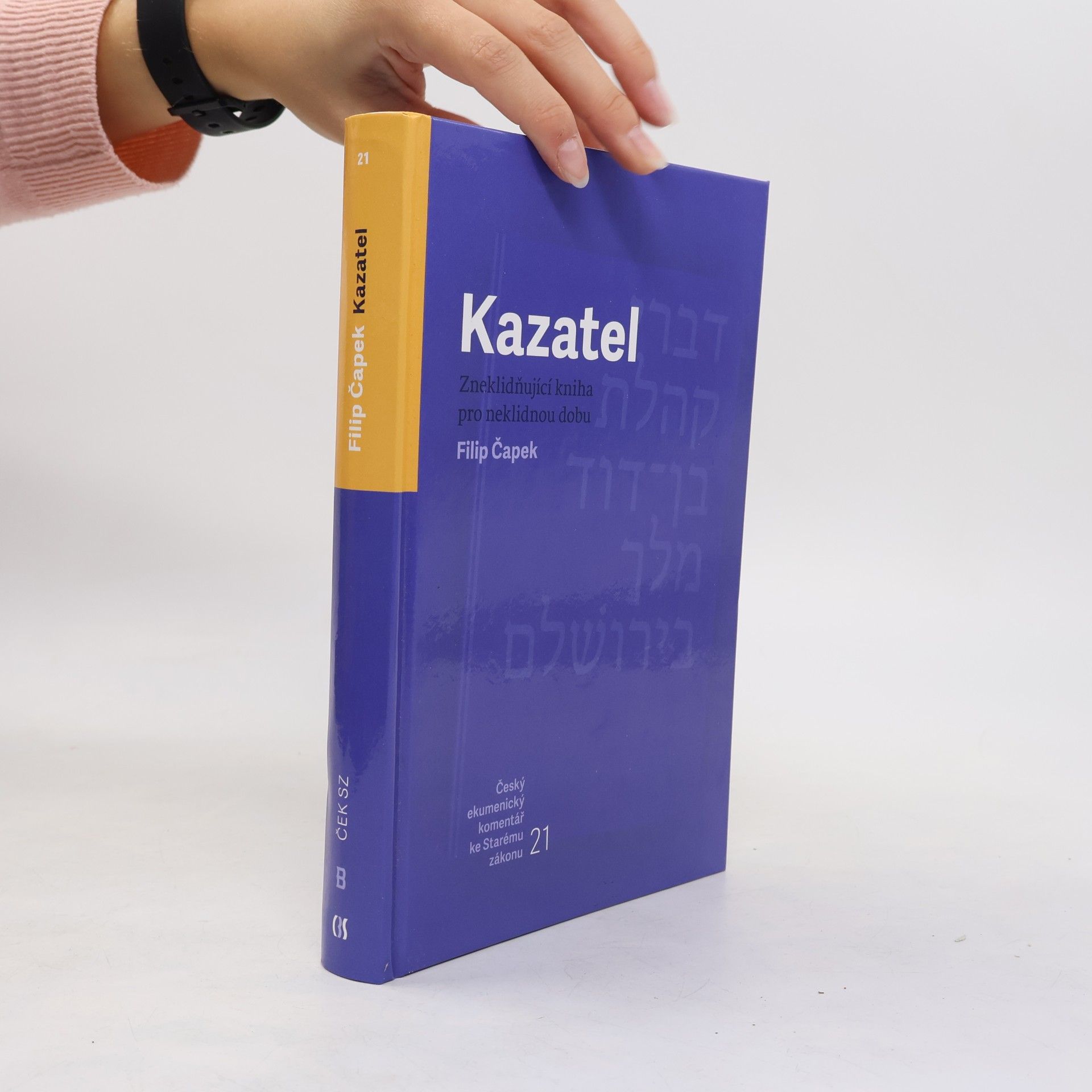 Filip Čapek Kazatel : Zneklidňující kniha pro neklidnou dobu