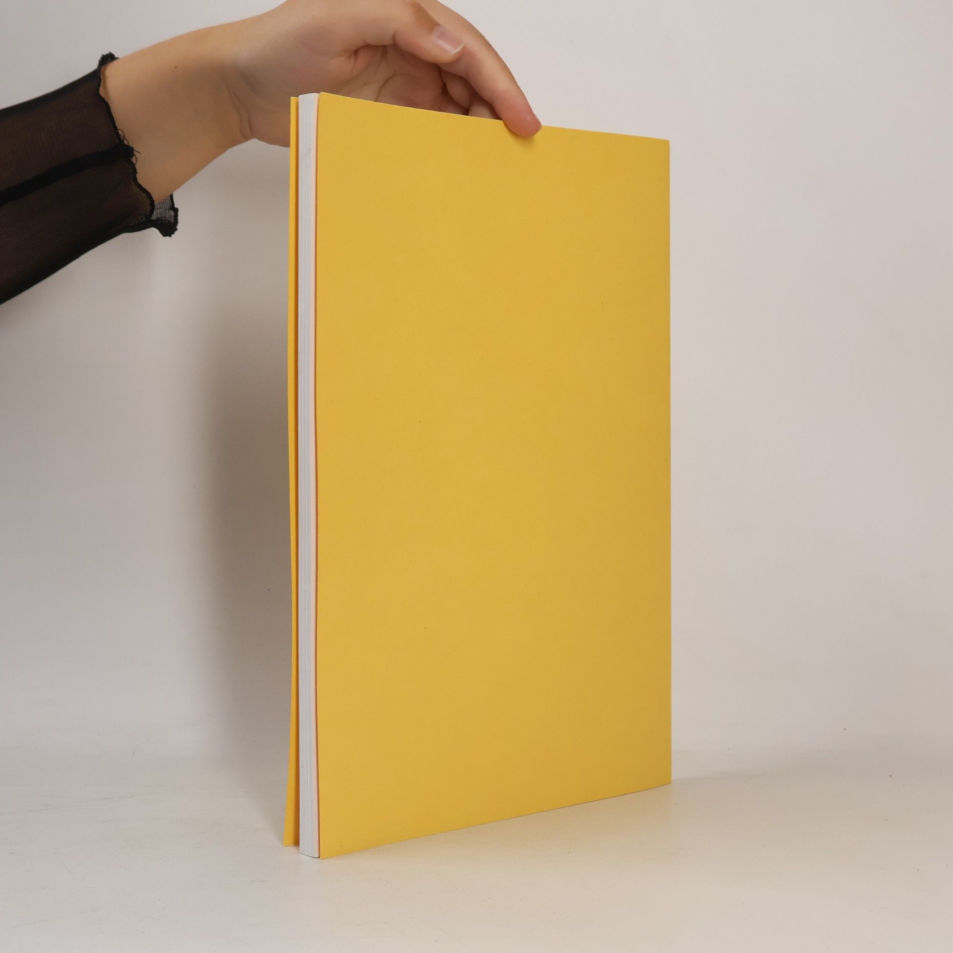 Kolektiv autorů Children´s literature & the foreign language classroom