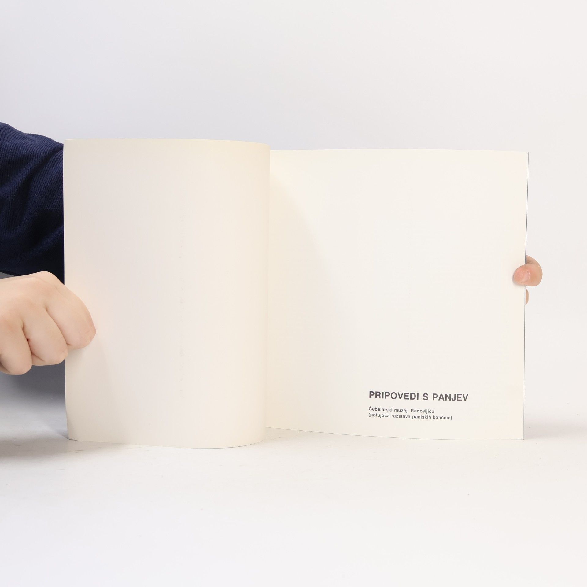 Autorenkollektiv Pripovedi s panjev