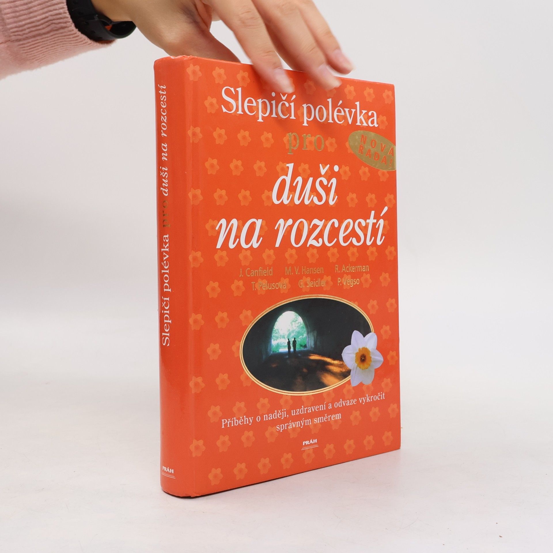 Jack Canfield Slepičí polévka pro duši na rozcestí