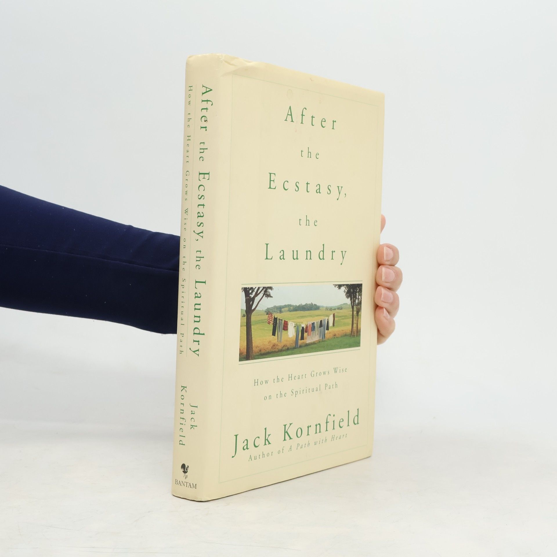 Jack Kornfield After the Ecstasy, the Laundry