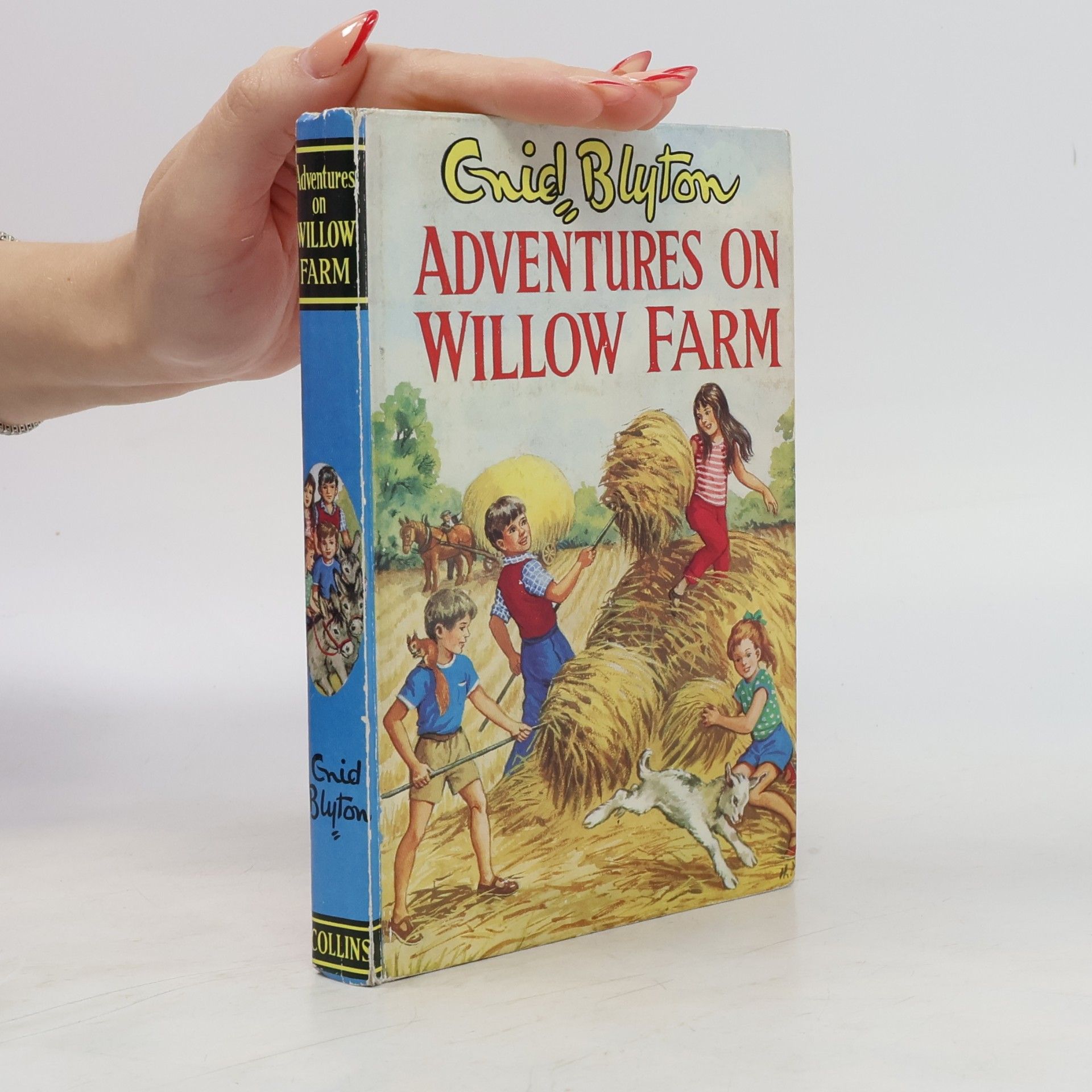 Enid Blyton Adventures at Willow Farm