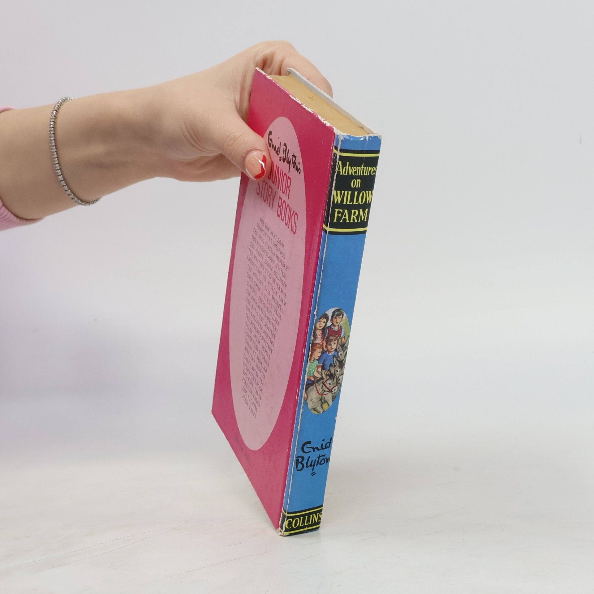 Enid Blyton Adventures at Willow Farm