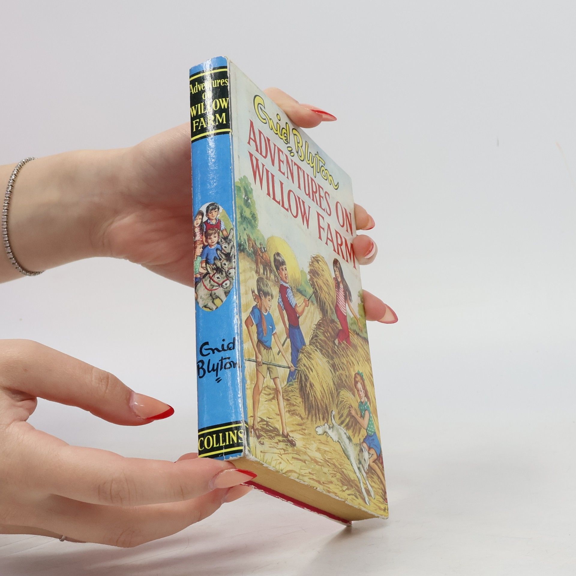 Enid Blyton Adventures at Willow Farm