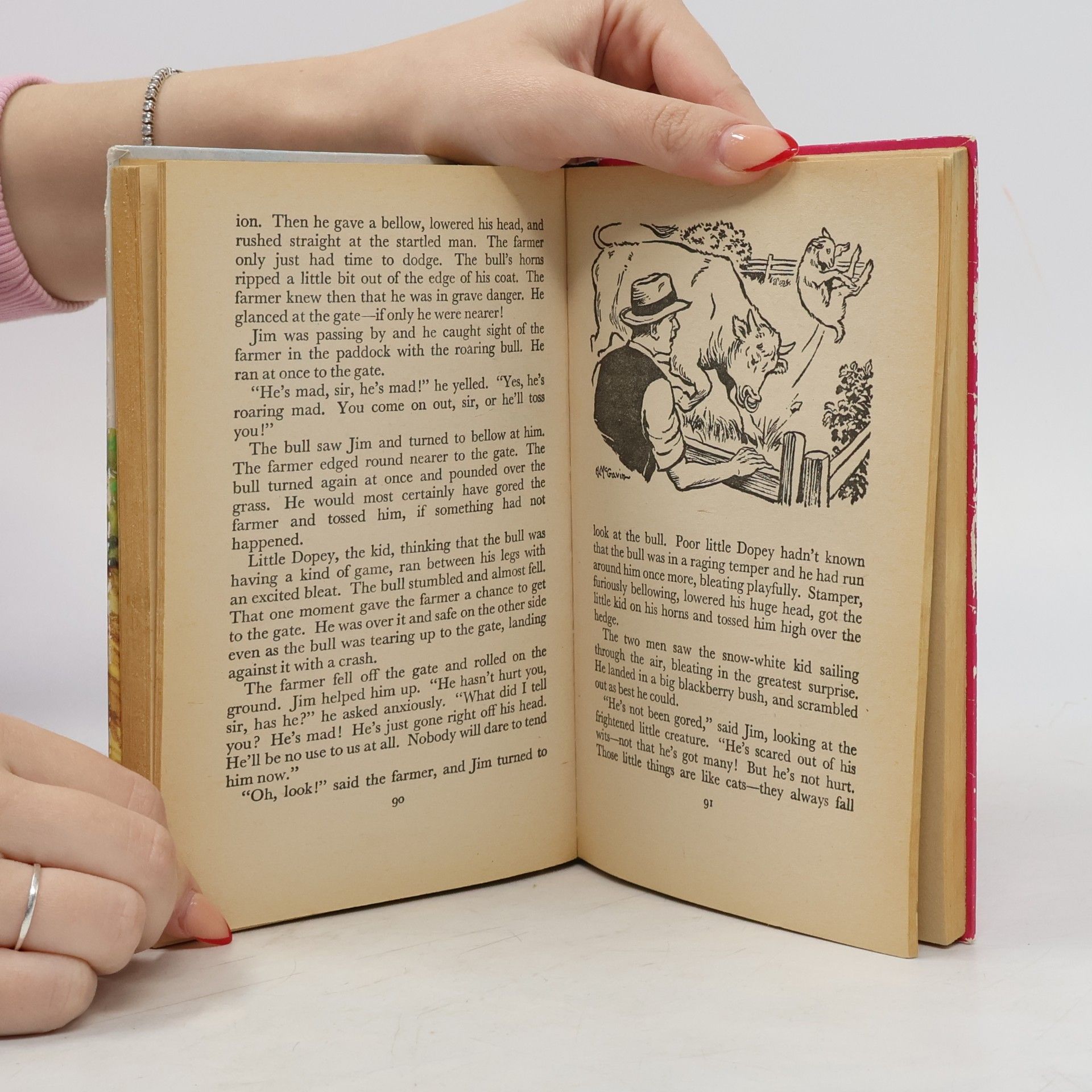 Enid Blyton Adventures at Willow Farm