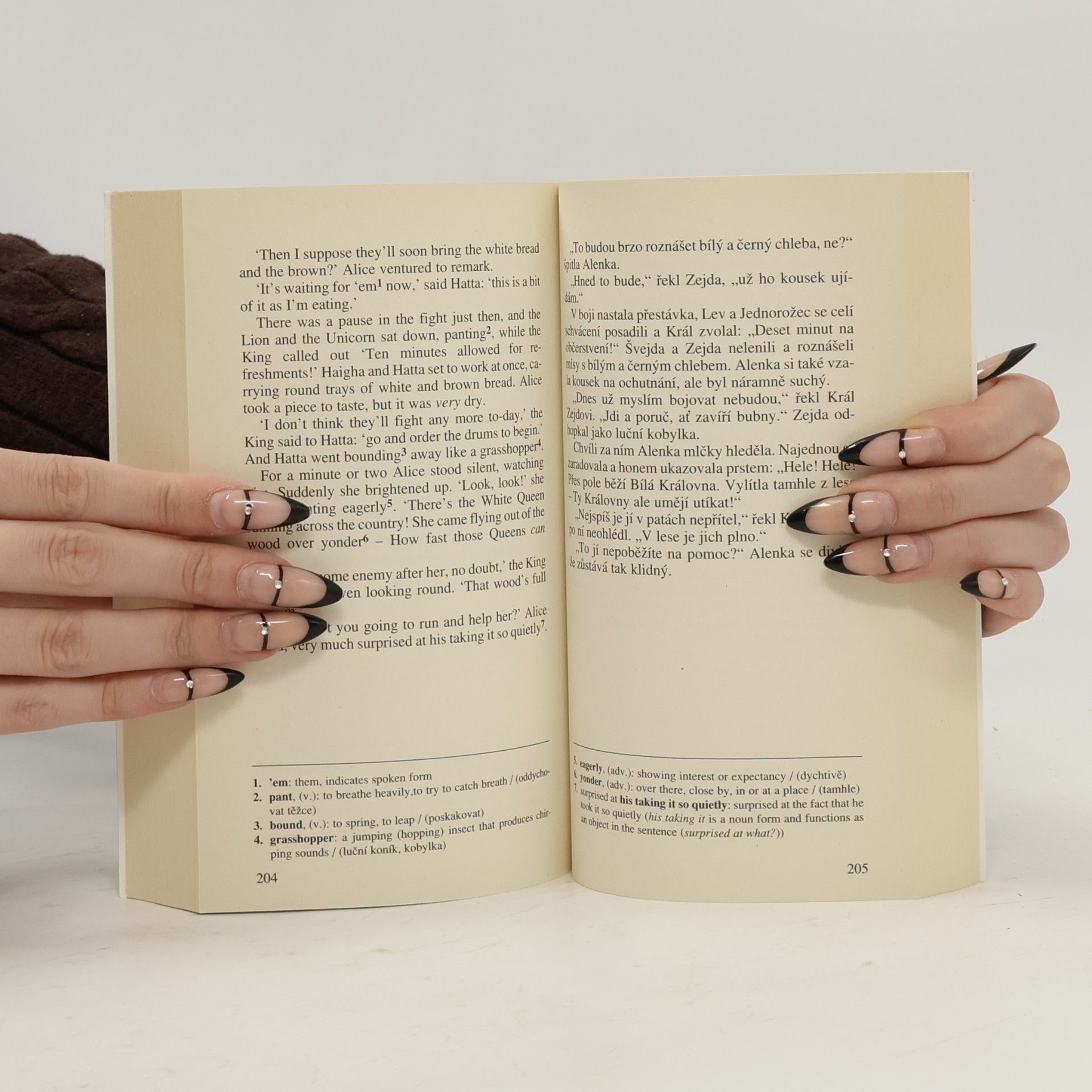 Lewis Carroll Through the looking glass = Alenka za zrcadlem