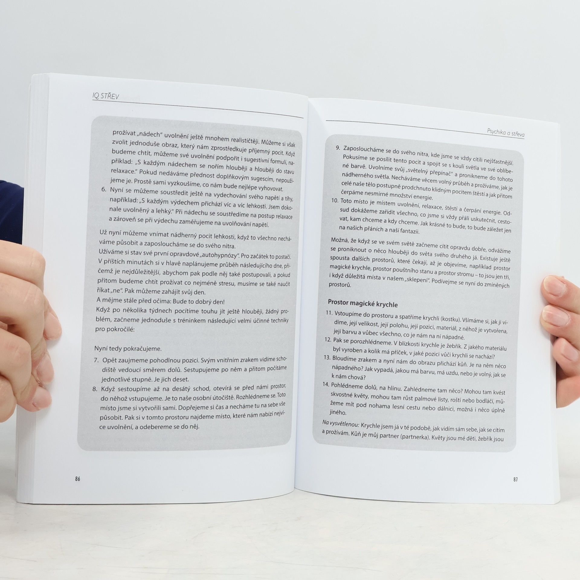 Joachim B. Vollmer IQ střev: Jak břišní mozek řídí naše tělesné i duševní zdraví