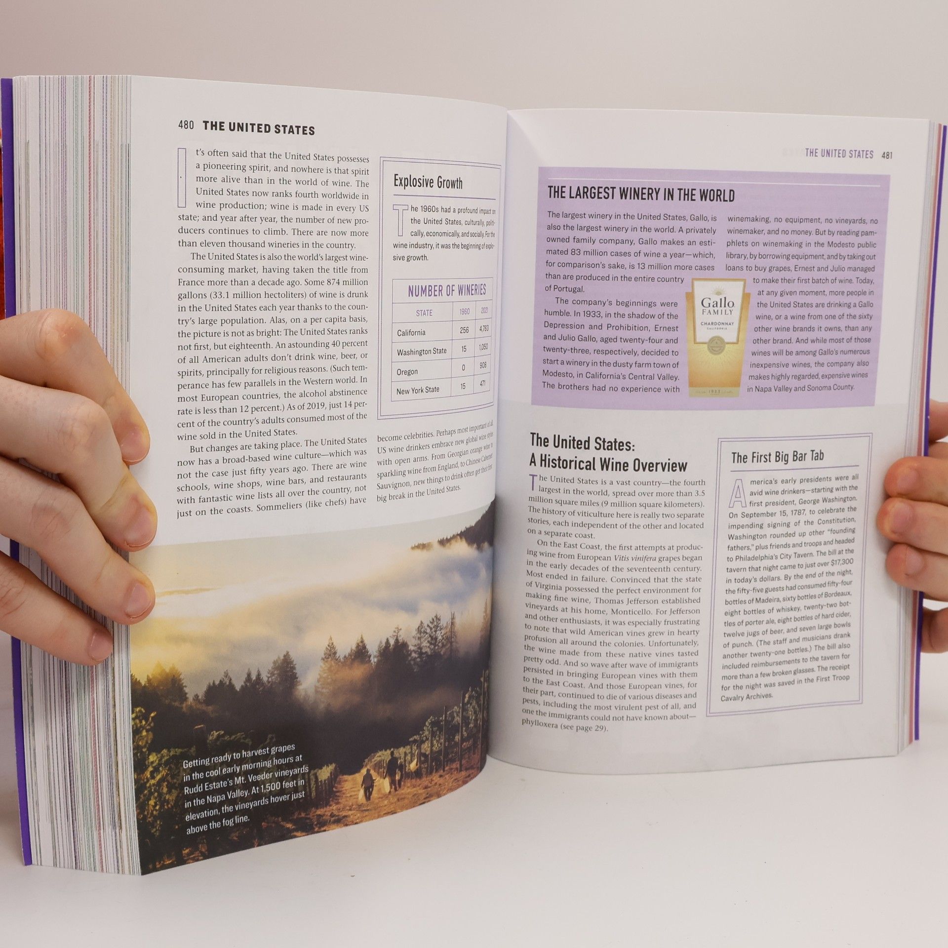Karen MacNeil The Wine Bible