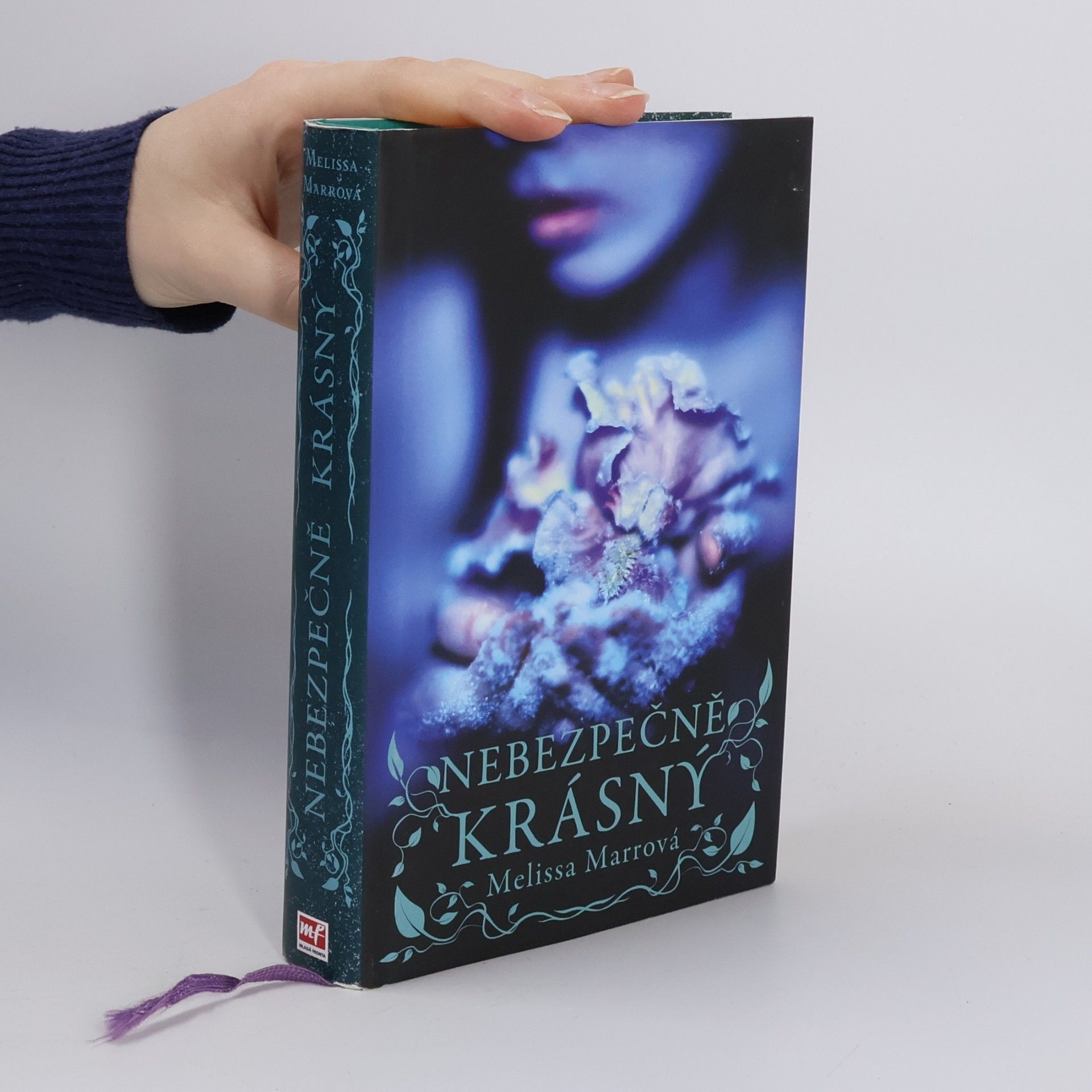 Melissa Marr Nebezpečně krásný