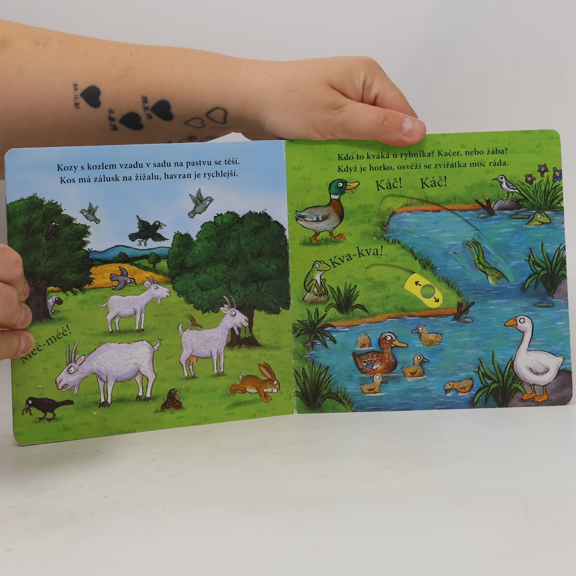 Axel Scheffler Na statku