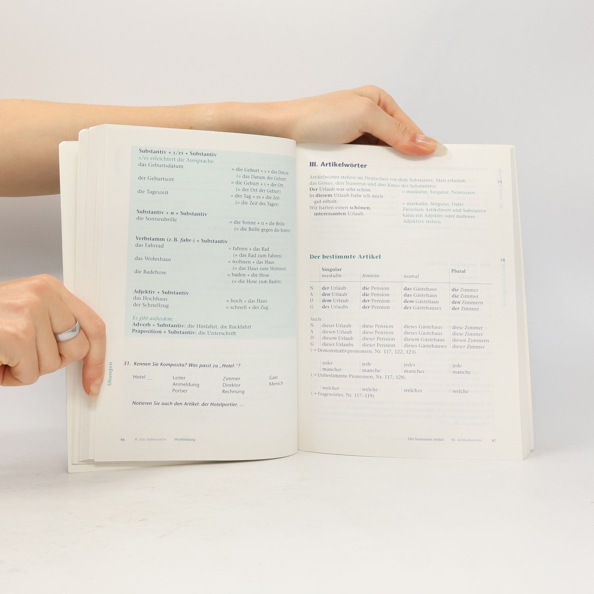 Renate Luscher Übungsgrammatik für Anfänger : Deutsch als Fremdsprache