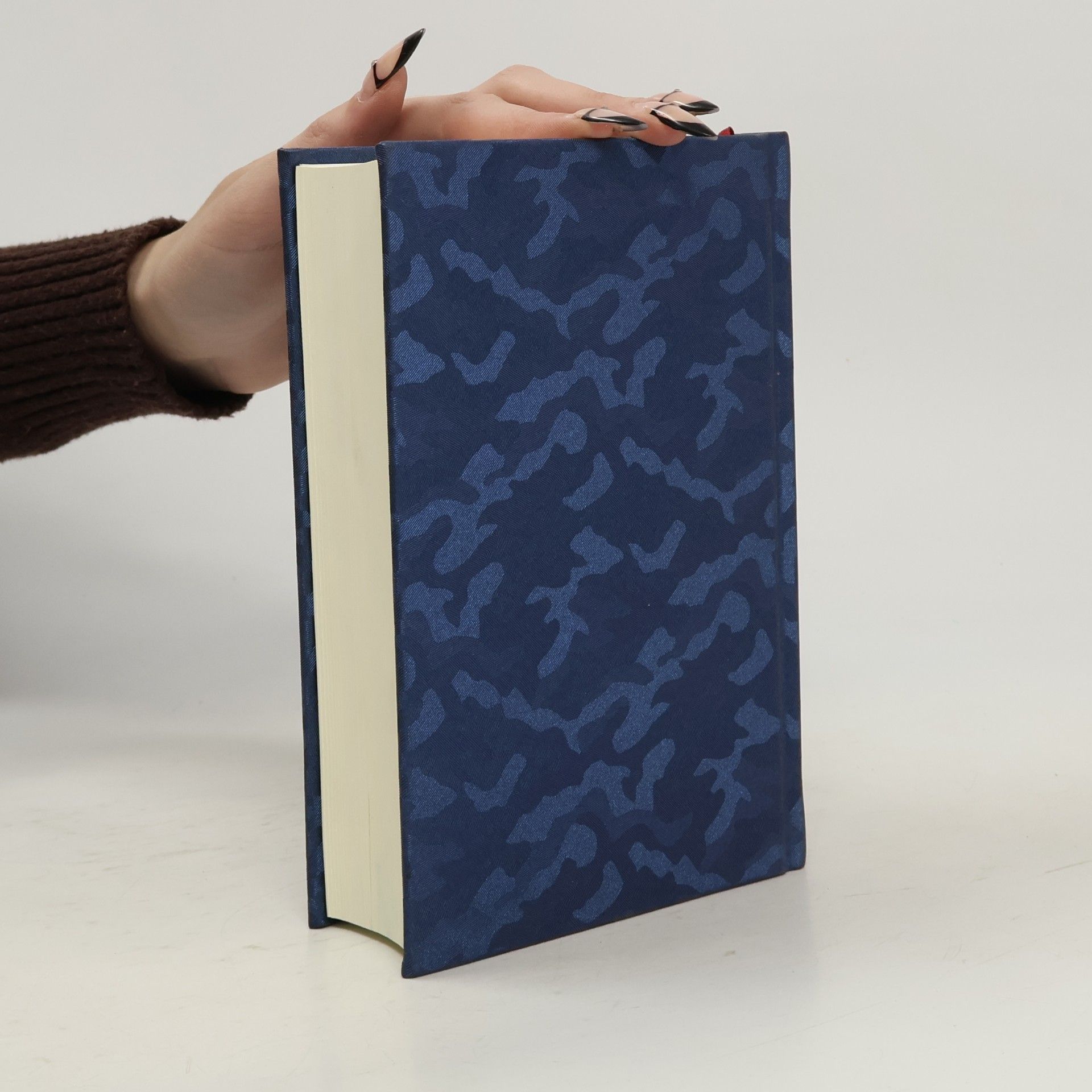 Collectif d'auteurs Bible