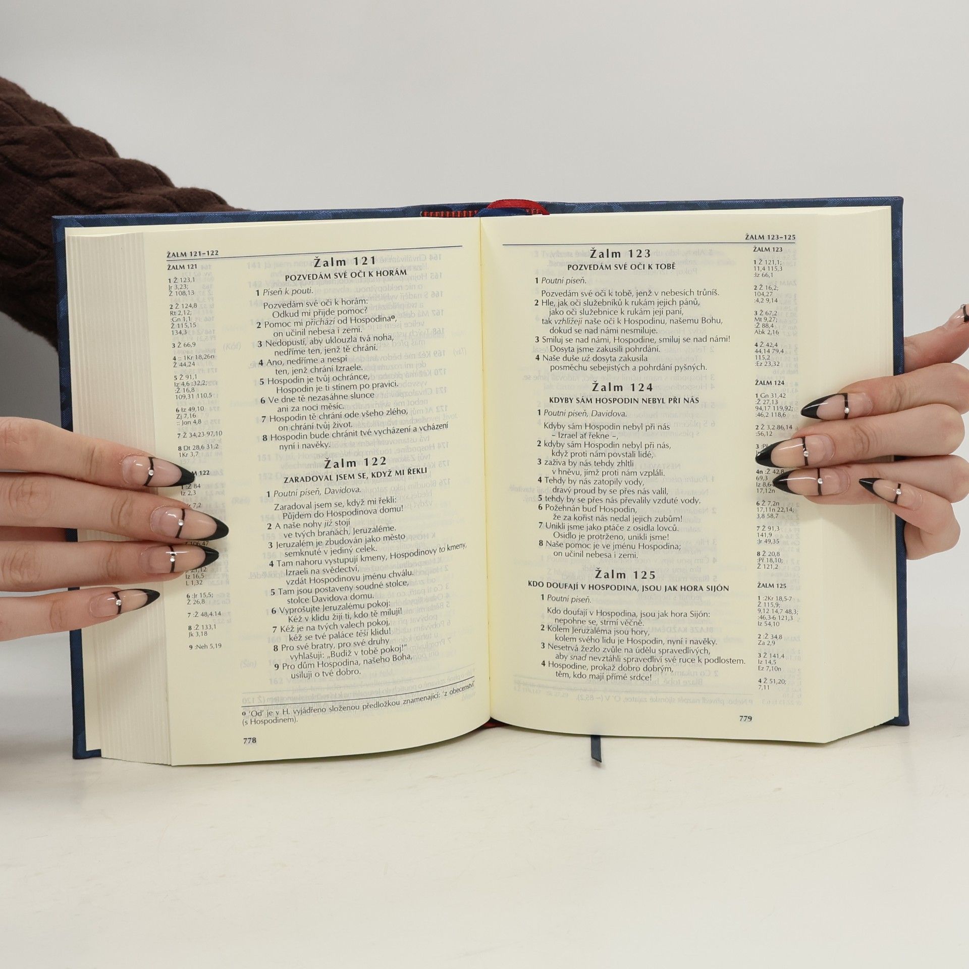 Collectif d'auteurs Bible