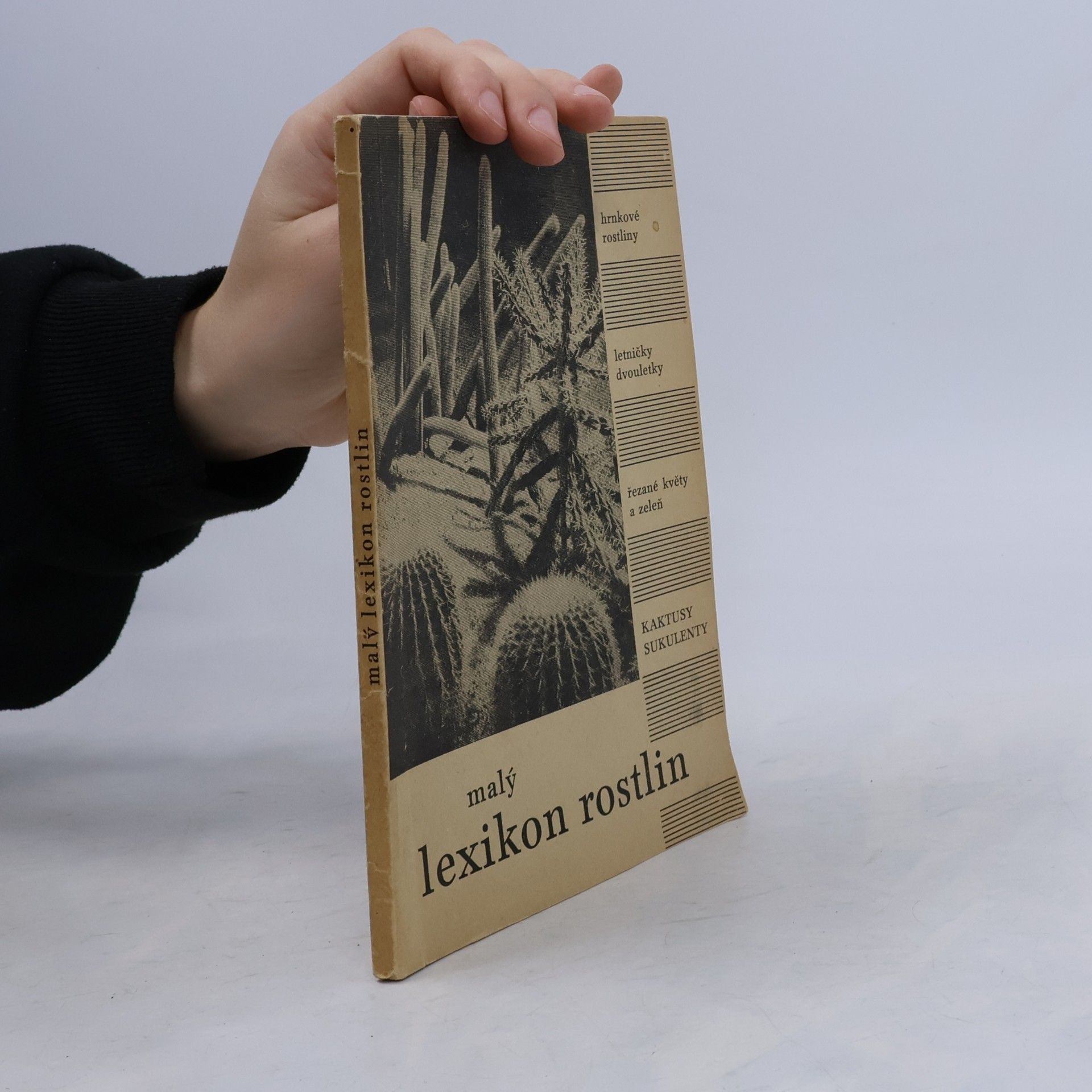 Autorenkollektiv Malý lexikon rostlin