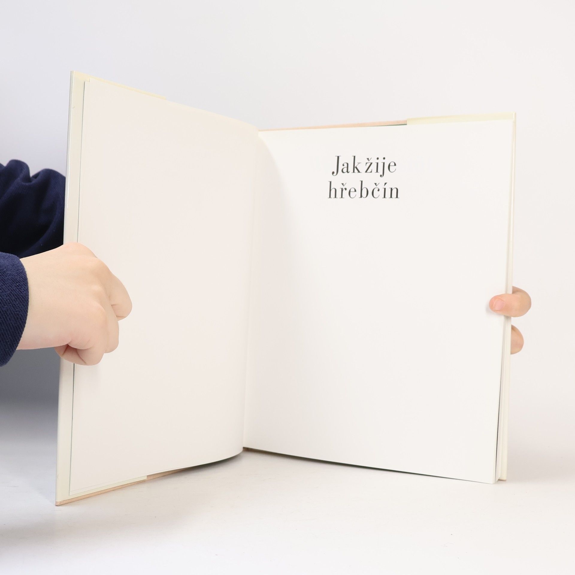 Norbert Záliš Jak žije hřebčín. Wie ein Gestüt lebt