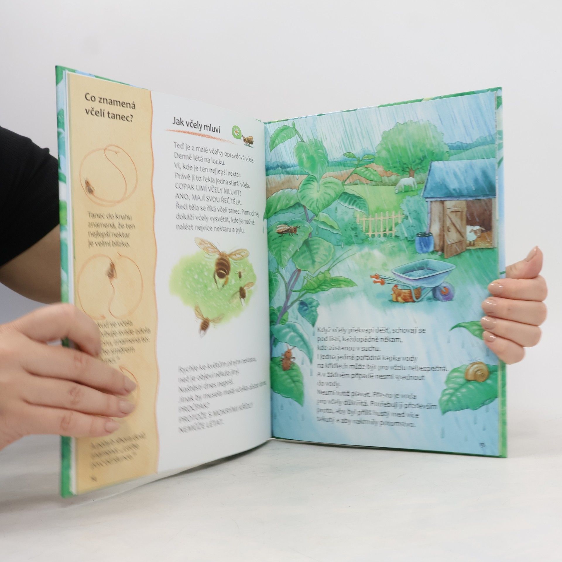 Friederun Reichenstetter Včelky - Jak vyrůstají a žijí?