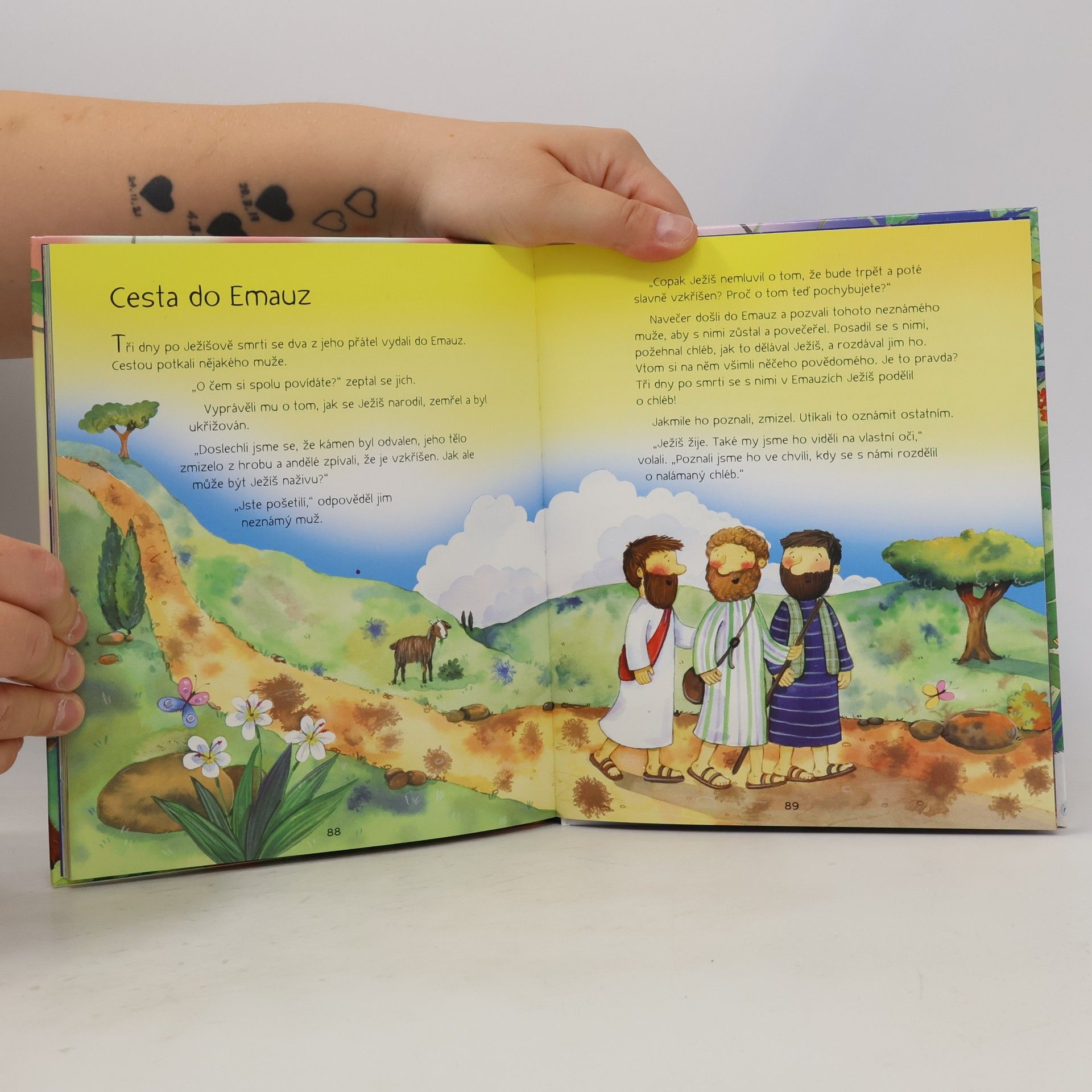 Renita Boyle Dobrou noc s Biblí
