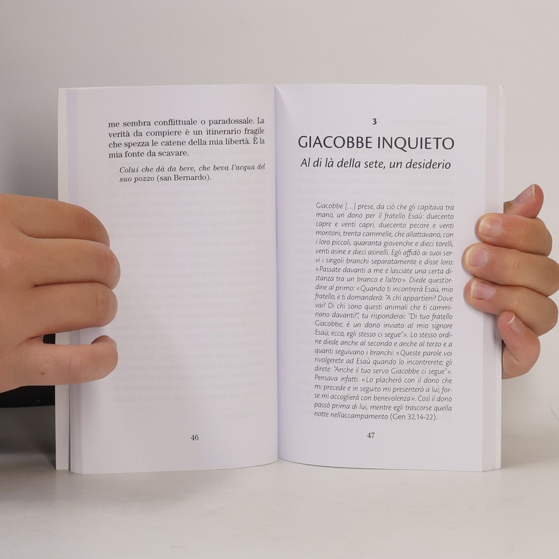 Pierre Brunette Sui passi di Giacobbe. Affrontare l'invisibile