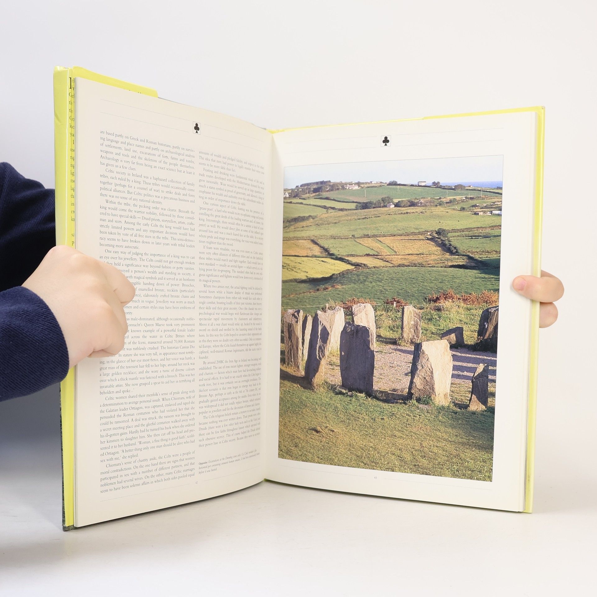 Nick Constable Ancient Ireland