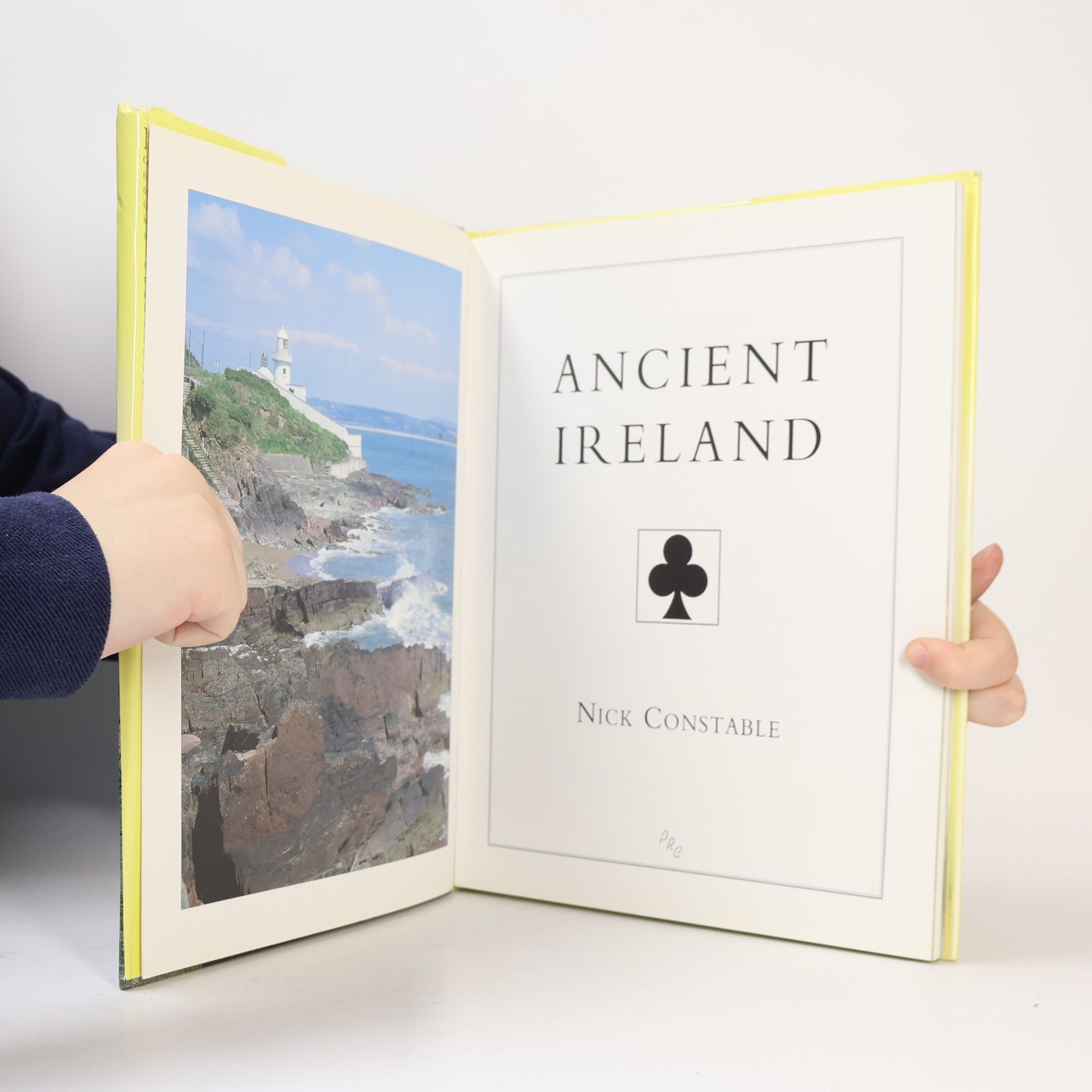 Nick Constable Ancient Ireland