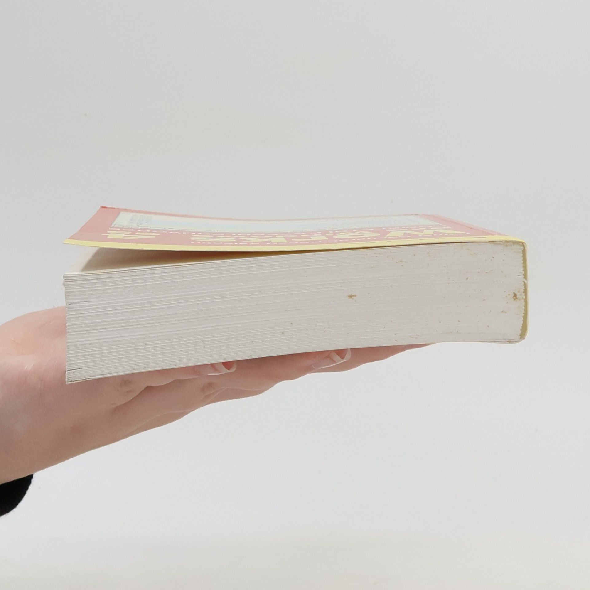 Rainer Gebhardt Works 4 pro Windows 95