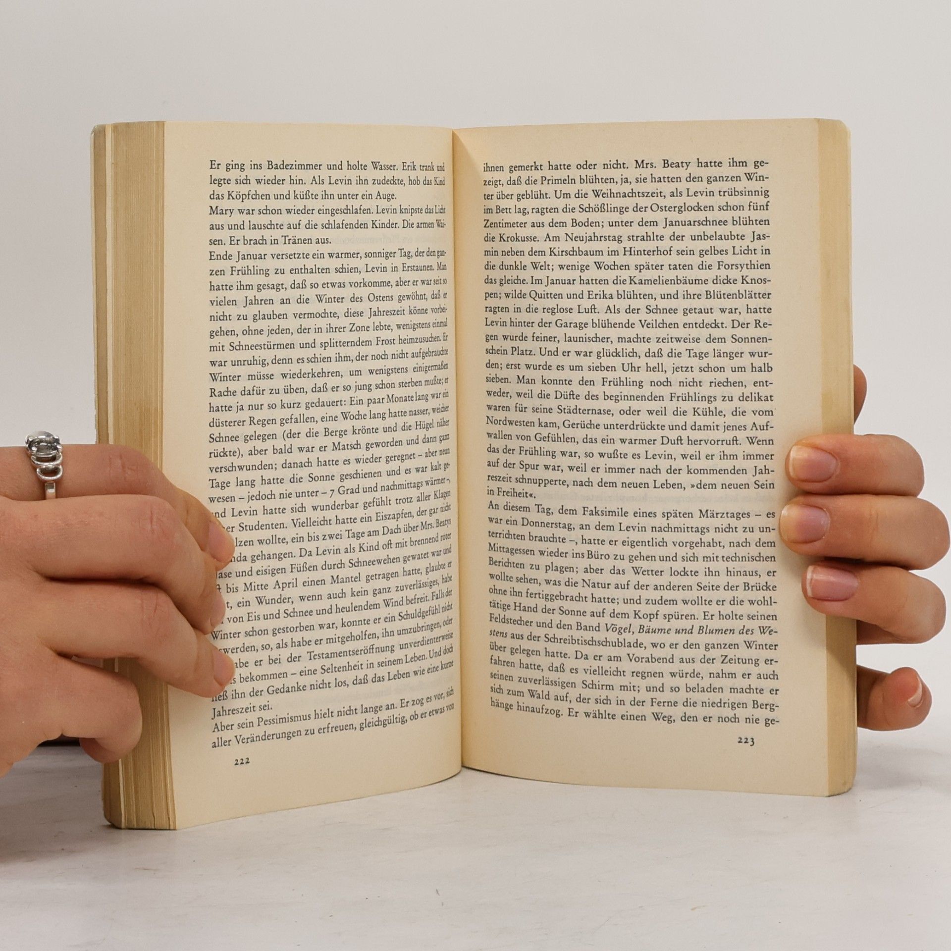 Bernard Malamud Ein neues Leben