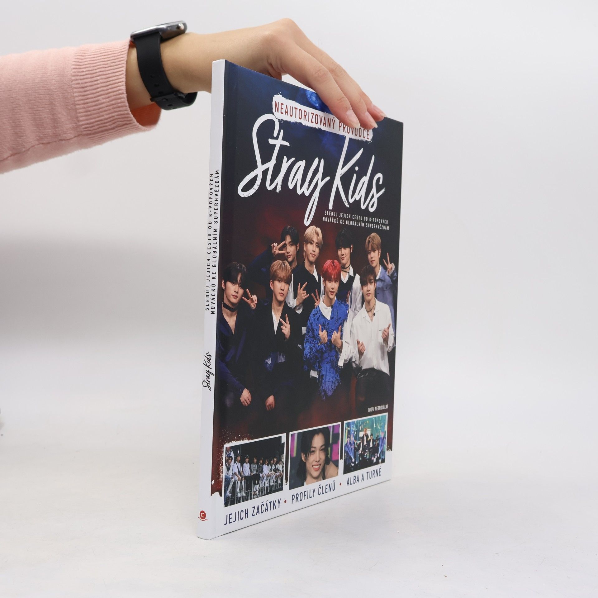 Various authors Stray Kids