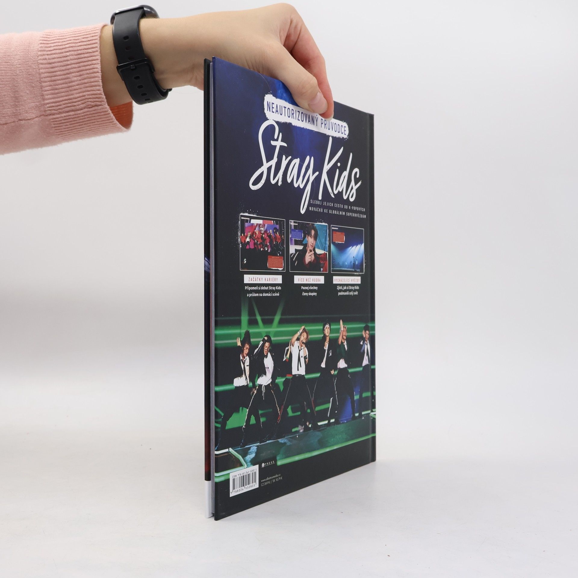 Autorenkollektiv Stray Kids
