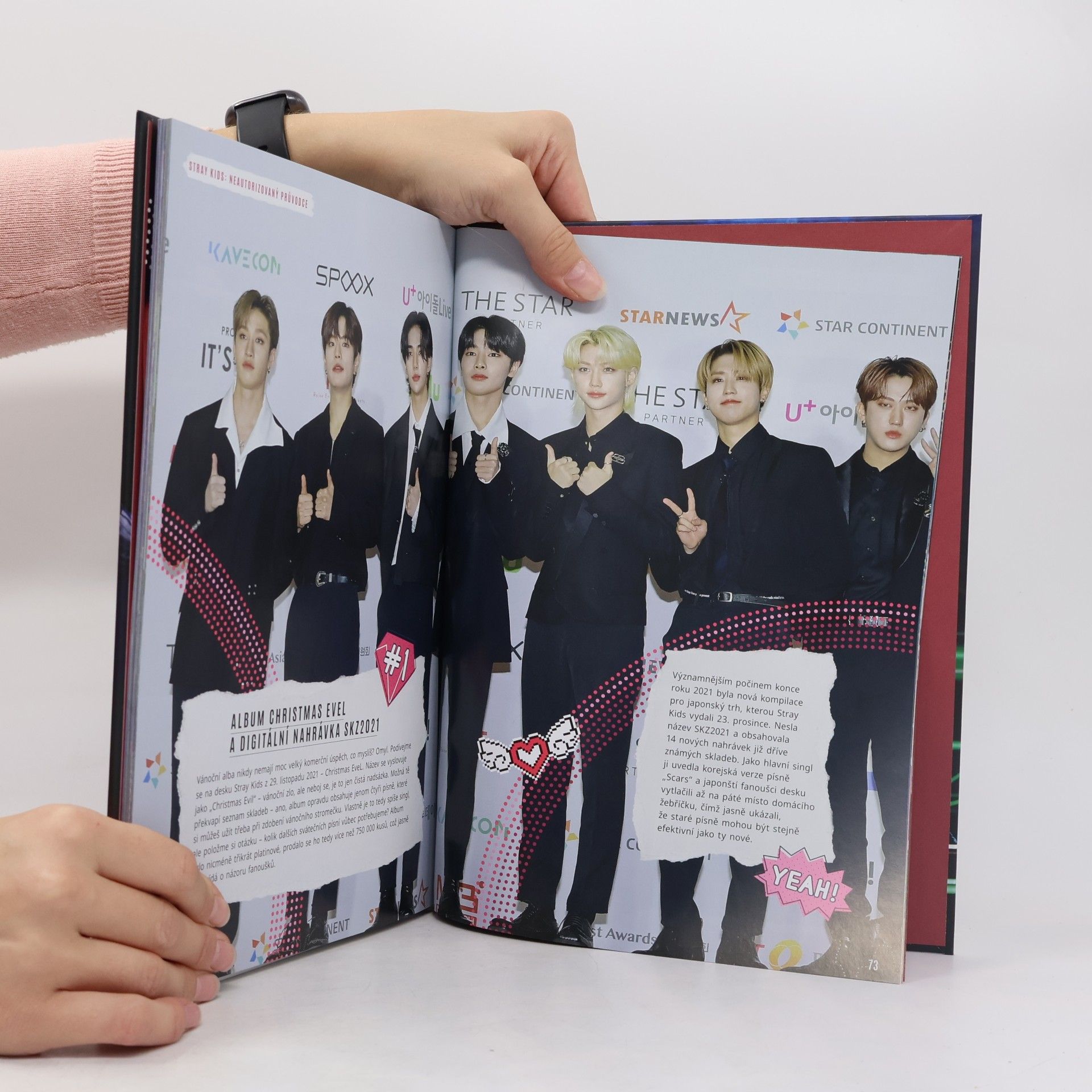 Autorenkollektiv Stray Kids