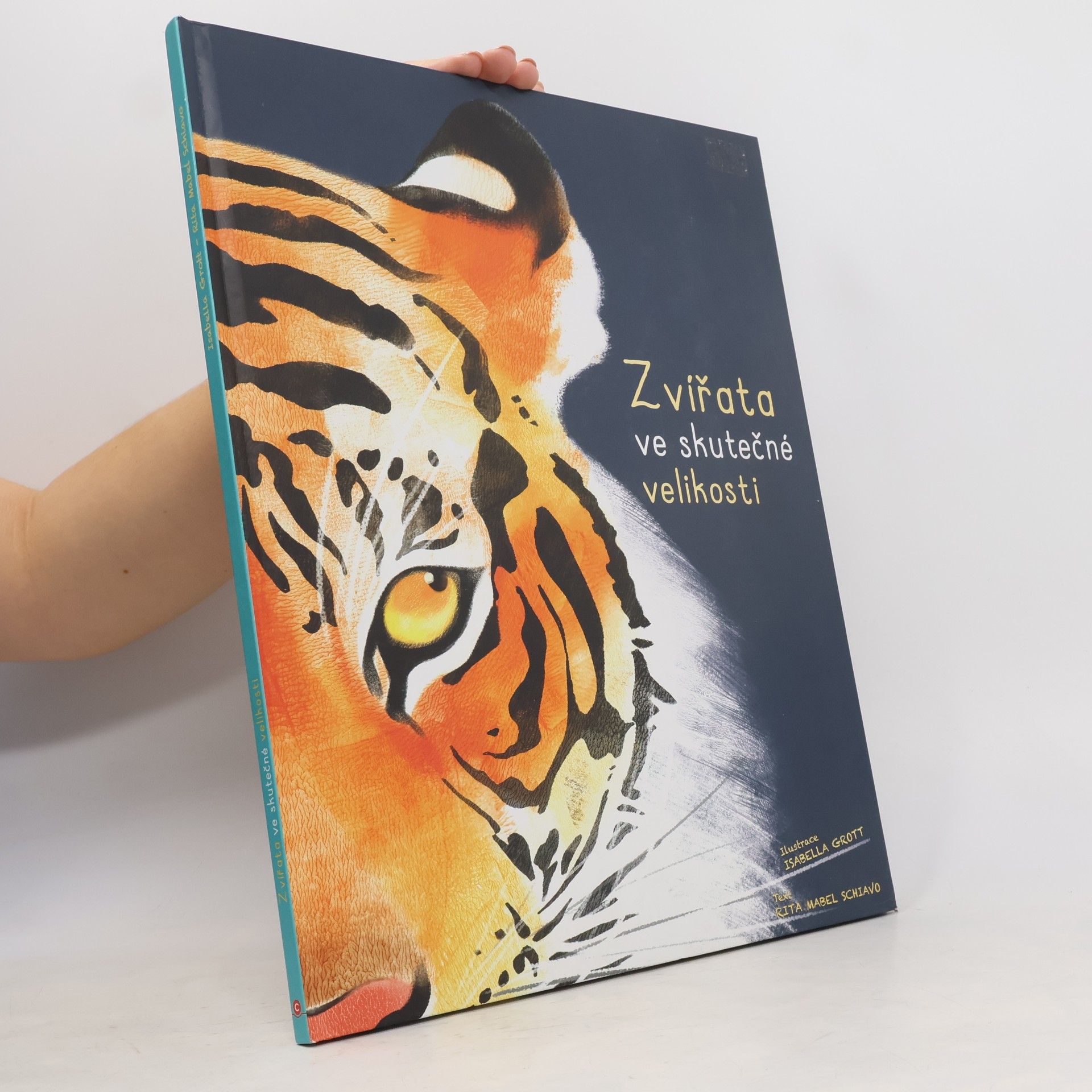 Rita Mabel Schiavo Zvířata ve skutečné velikosti