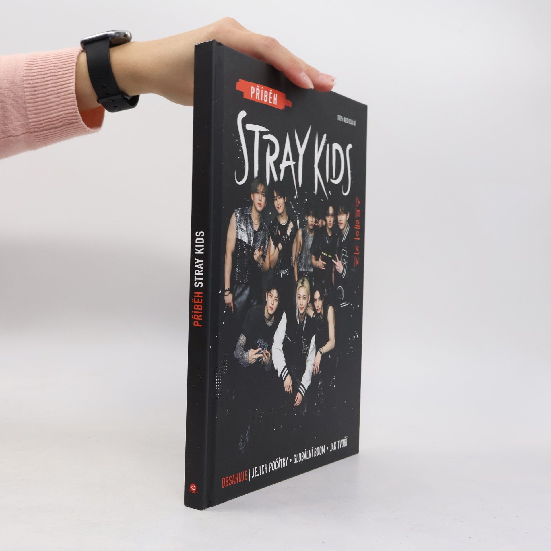 Příběh Stray Kids