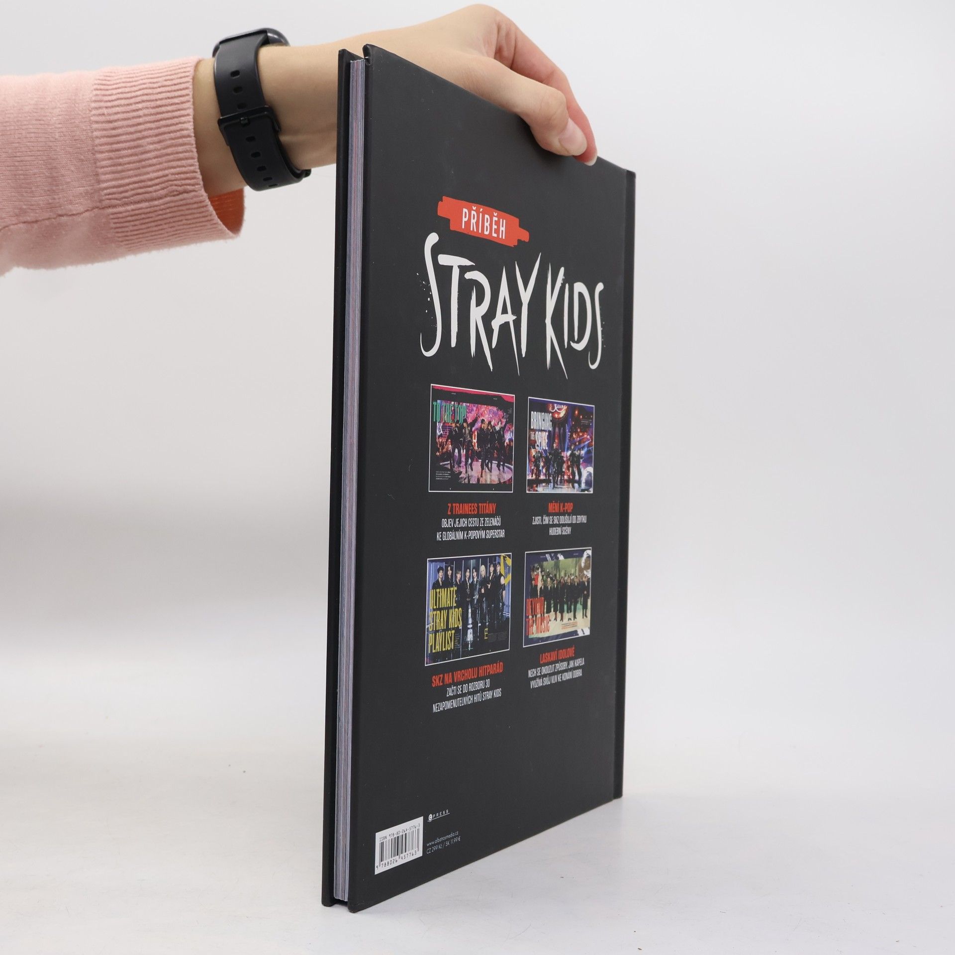 Kateřina Fried Příběh Stray Kids