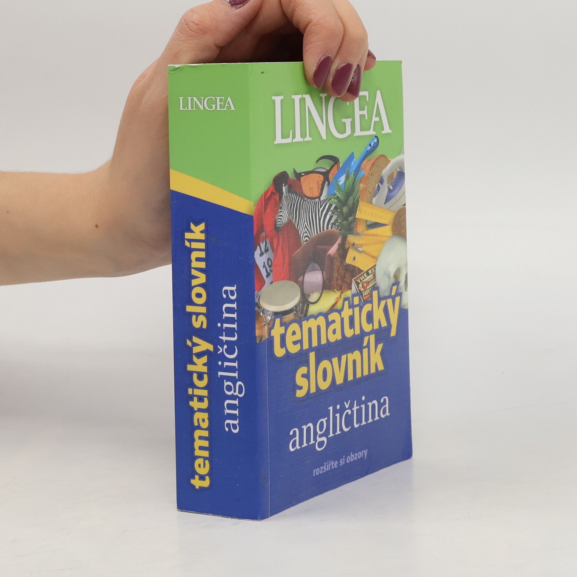Autorenkollektiv Tematický slovník: angličtina