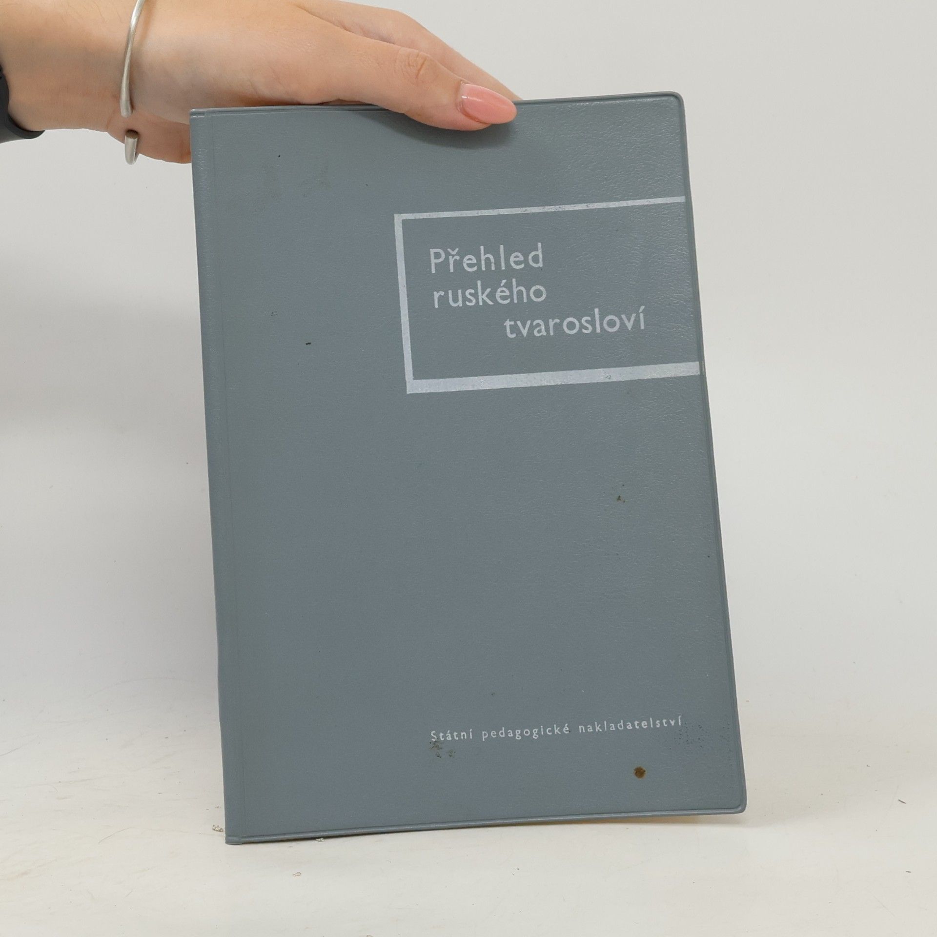 Autorenkollektiv Přehled ruského tvarosloví