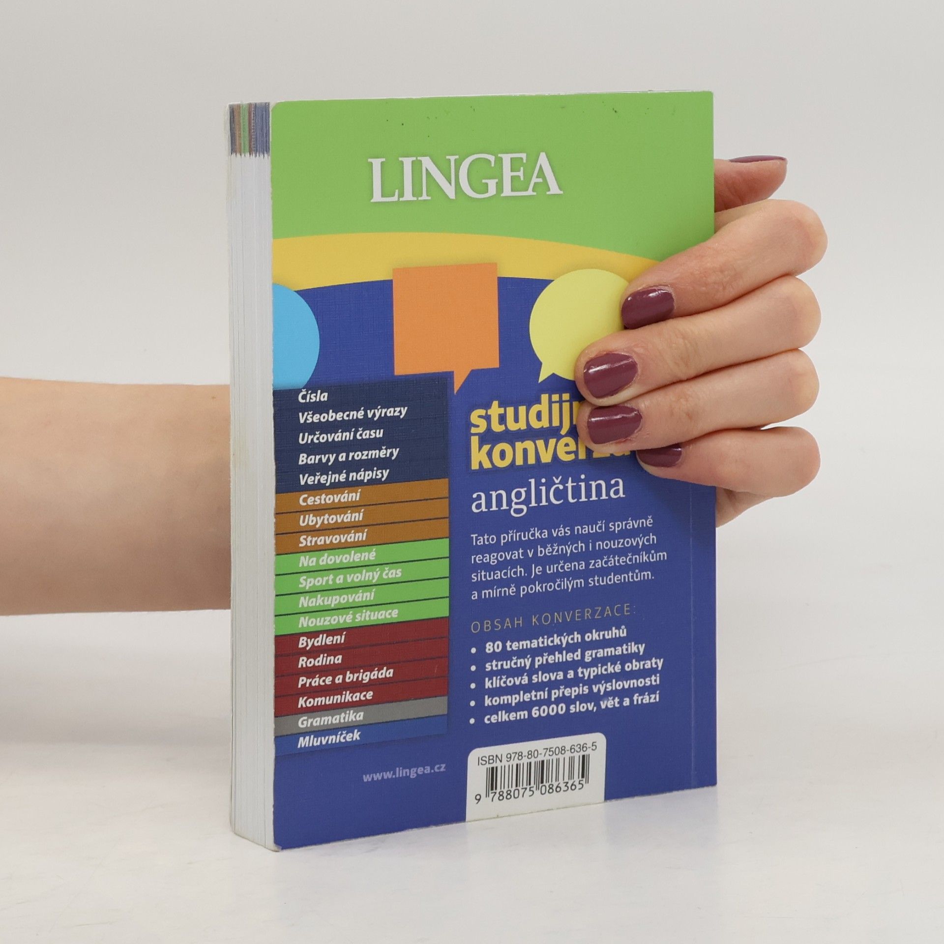 Kolektiv autorů Angličtina - Studijní konverzace
