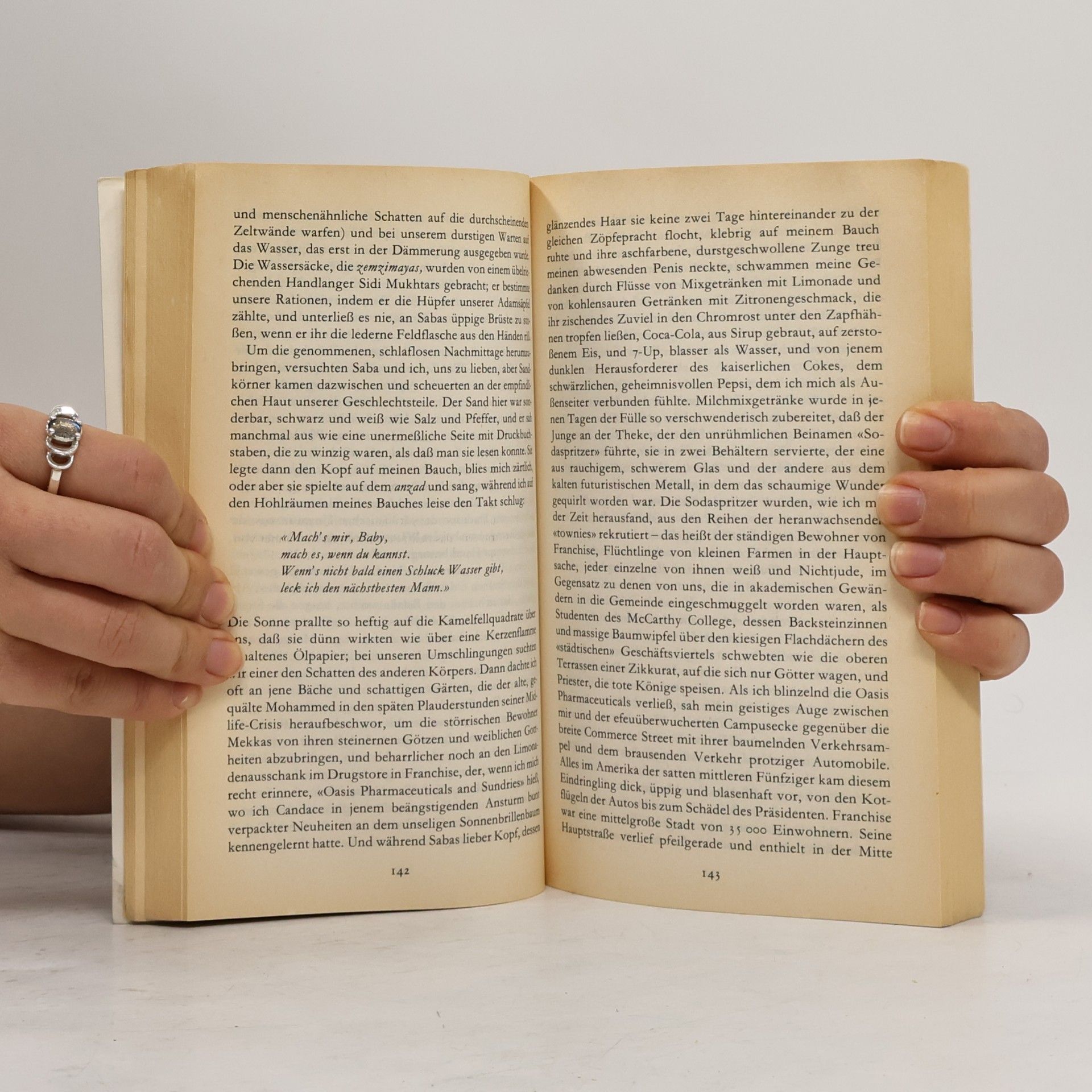 John Updike Der Coup