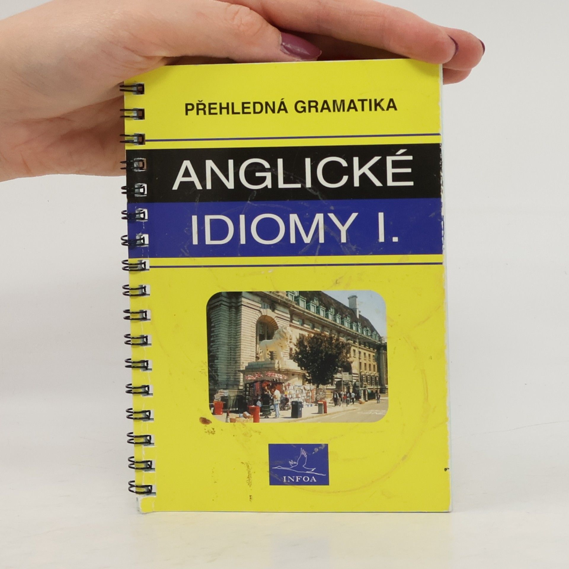 Asif Osmani Přehledná gramatika - anglické idiomy I.