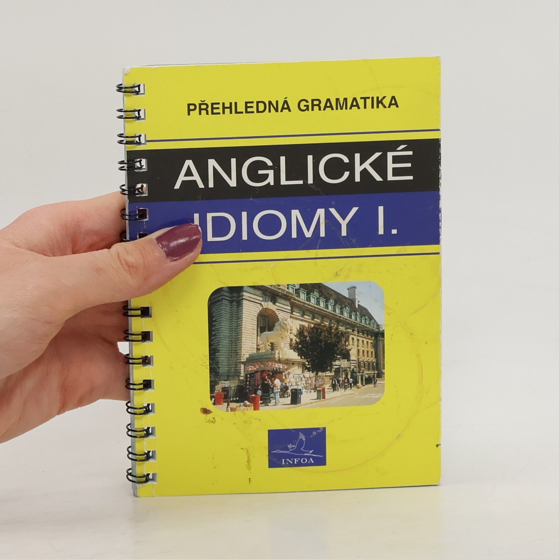 Asif Osmani Přehledná gramatika - anglické idiomy I.