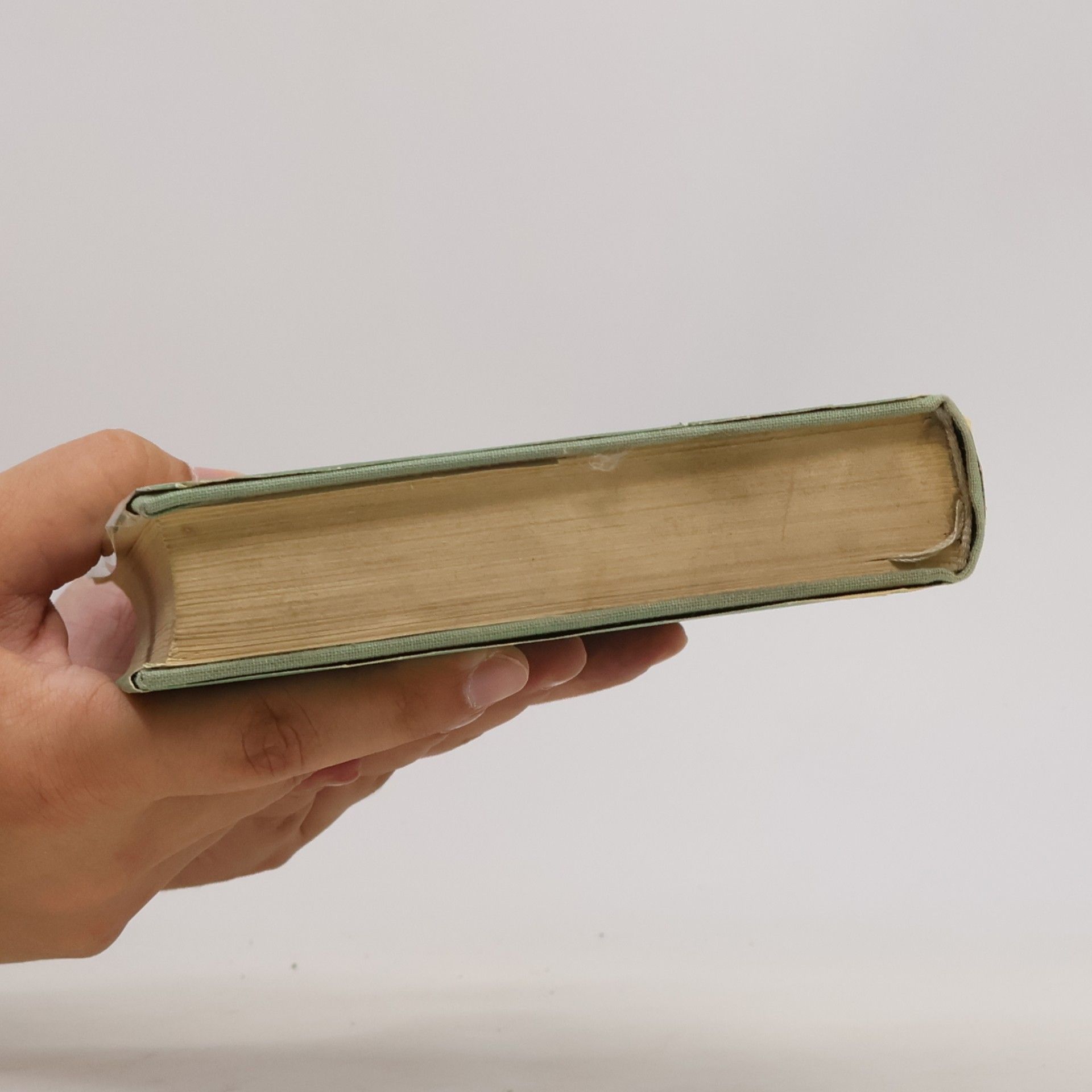 Guy de Maupassant Petr a Jan. Studie, črty a korespondence