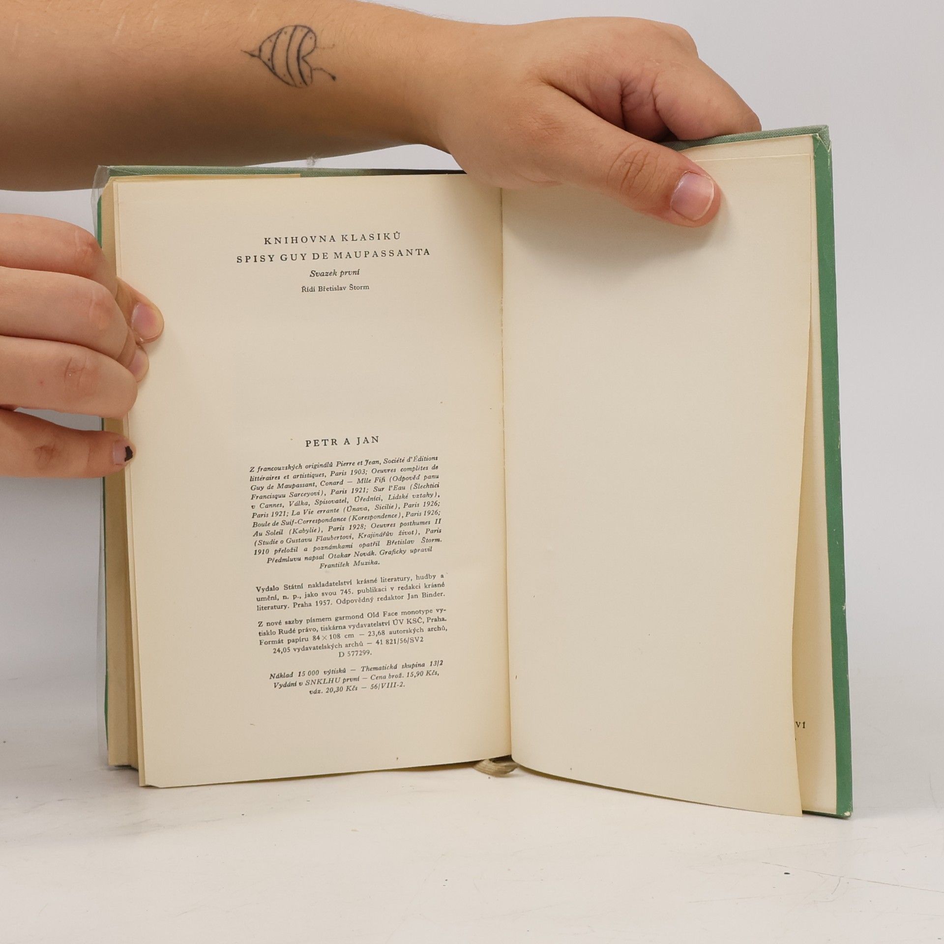Guy de Maupassant Petr a Jan. Studie, črty a korespondence