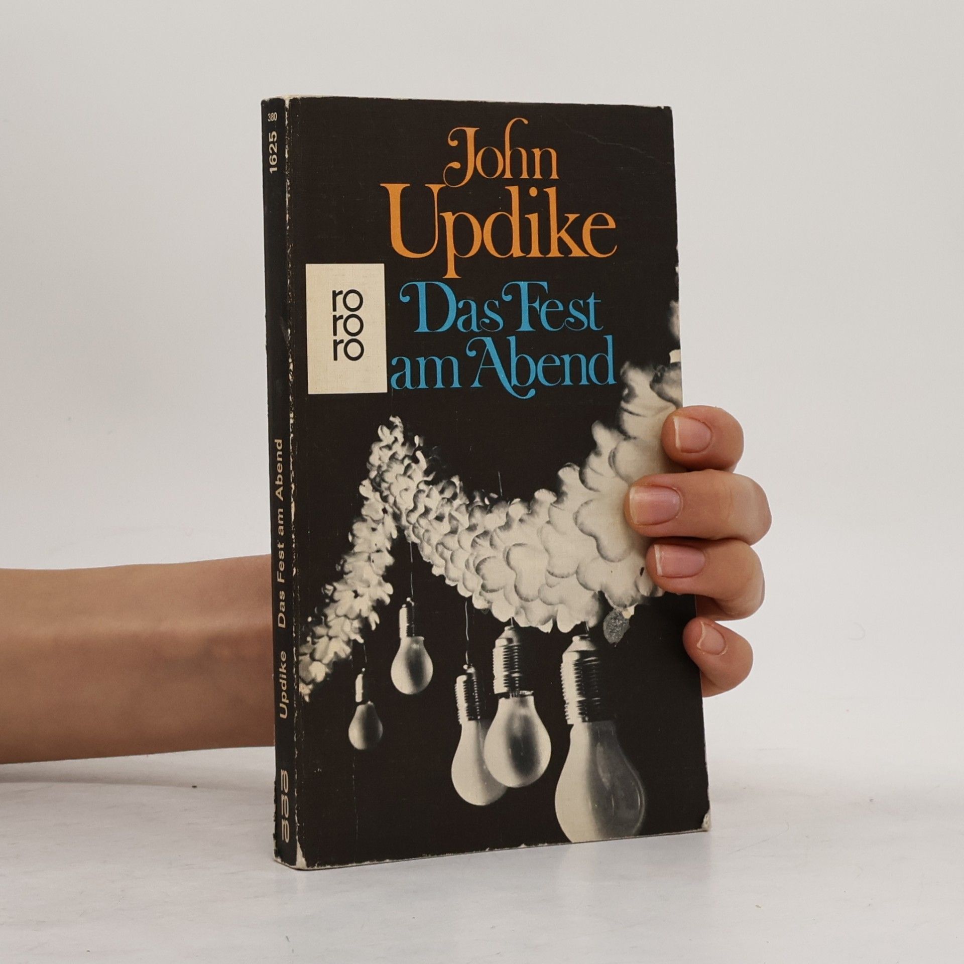 John Updike Das Fest am Abend