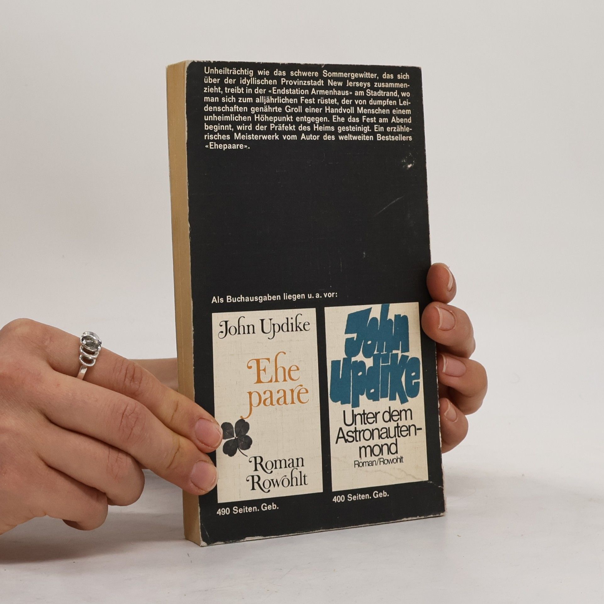 John Updike Das Fest am Abend
