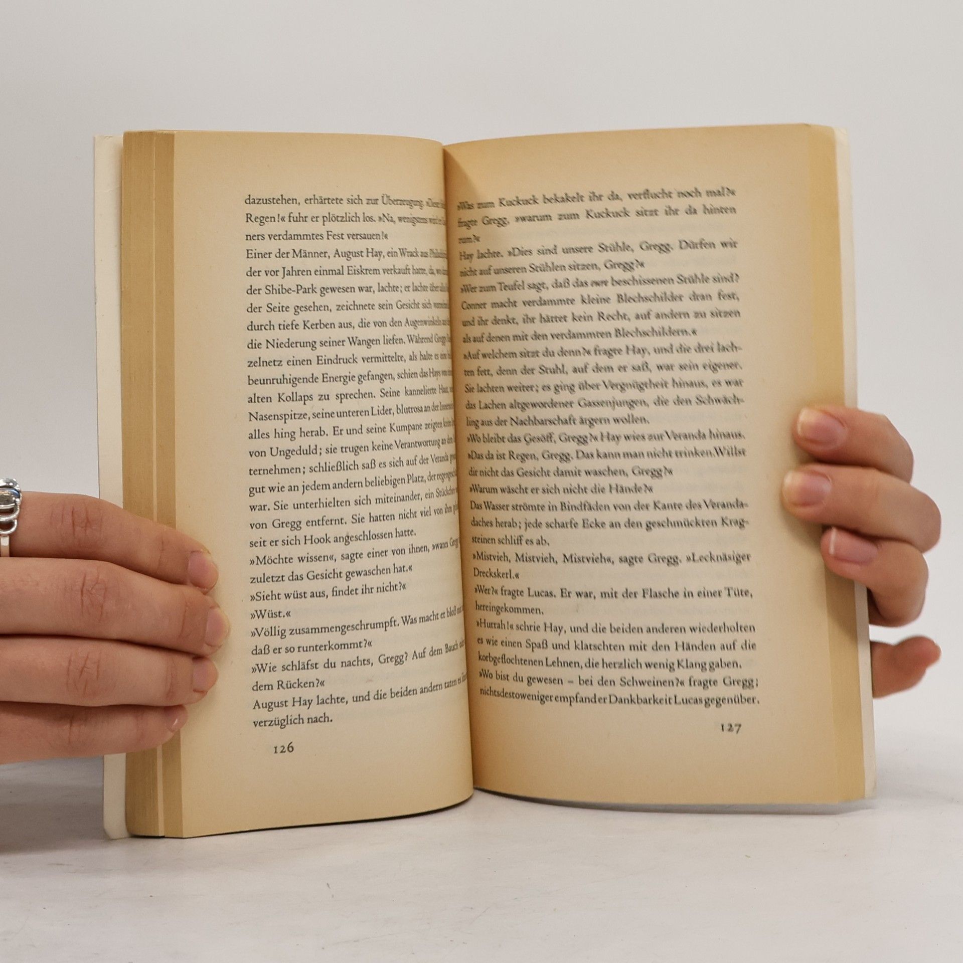 John Updike Das Fest am Abend