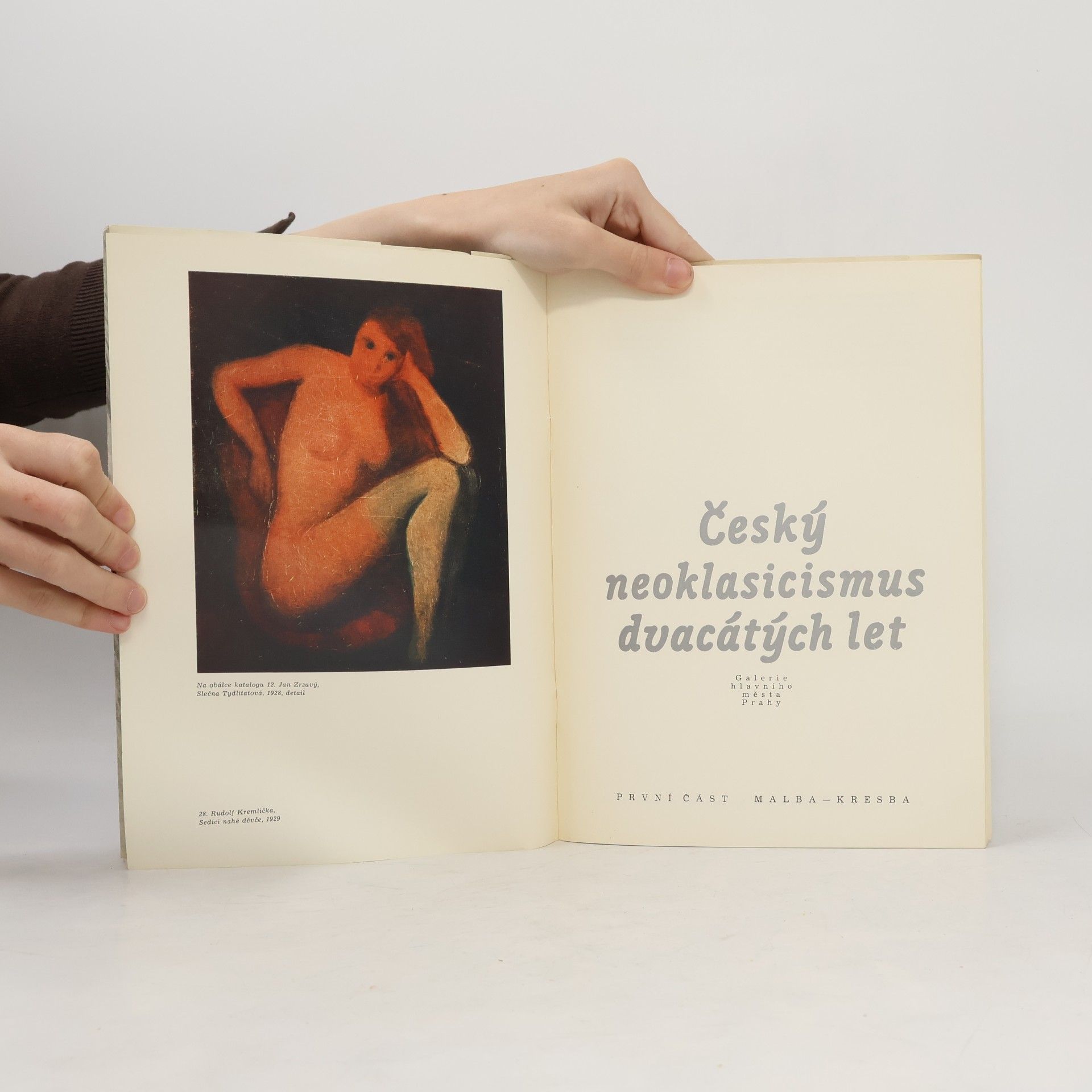 Jan Zrzavý Český neoklasicismus dvacátých let / 1. Malba, kresba