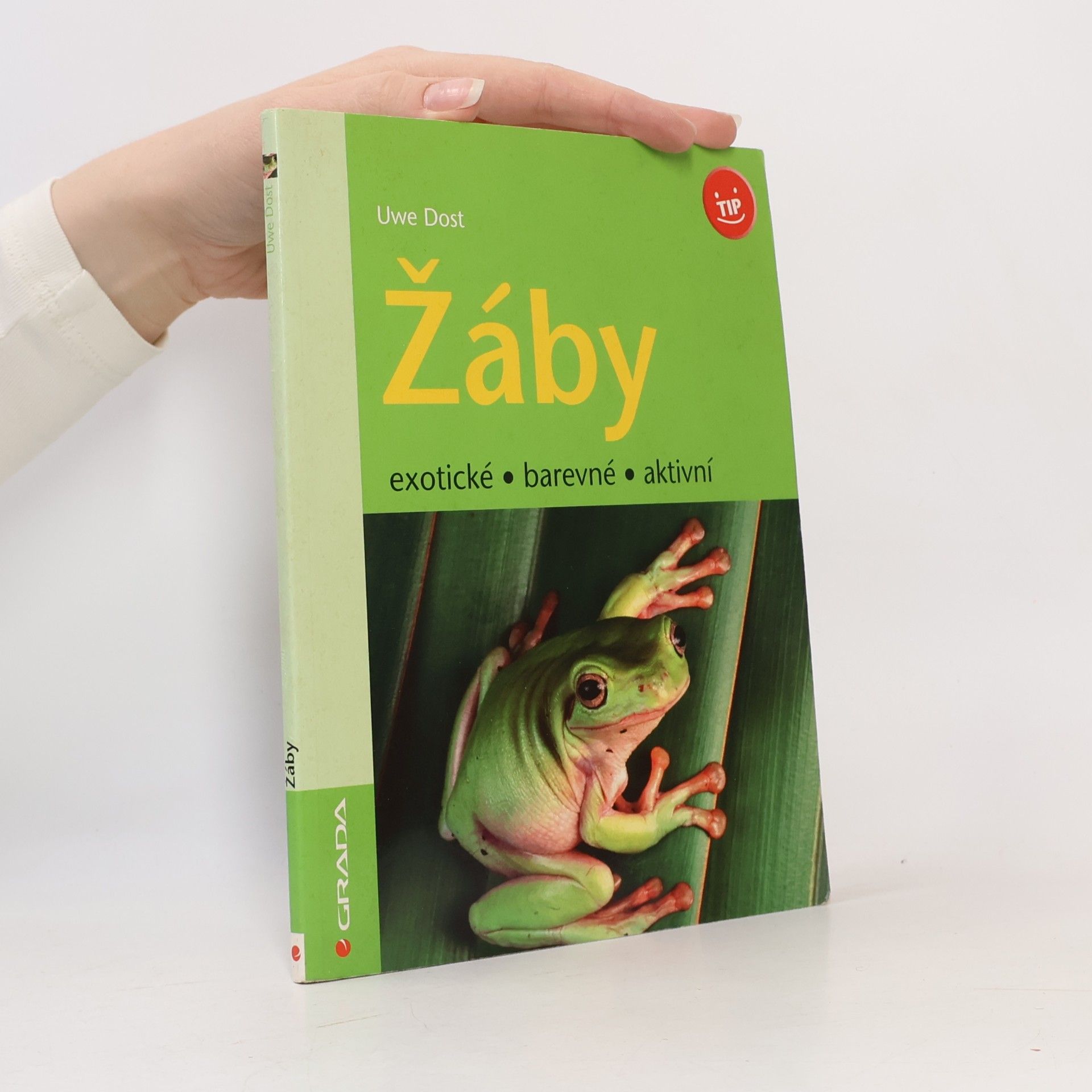 Žáby exotické, barevné, aktivní